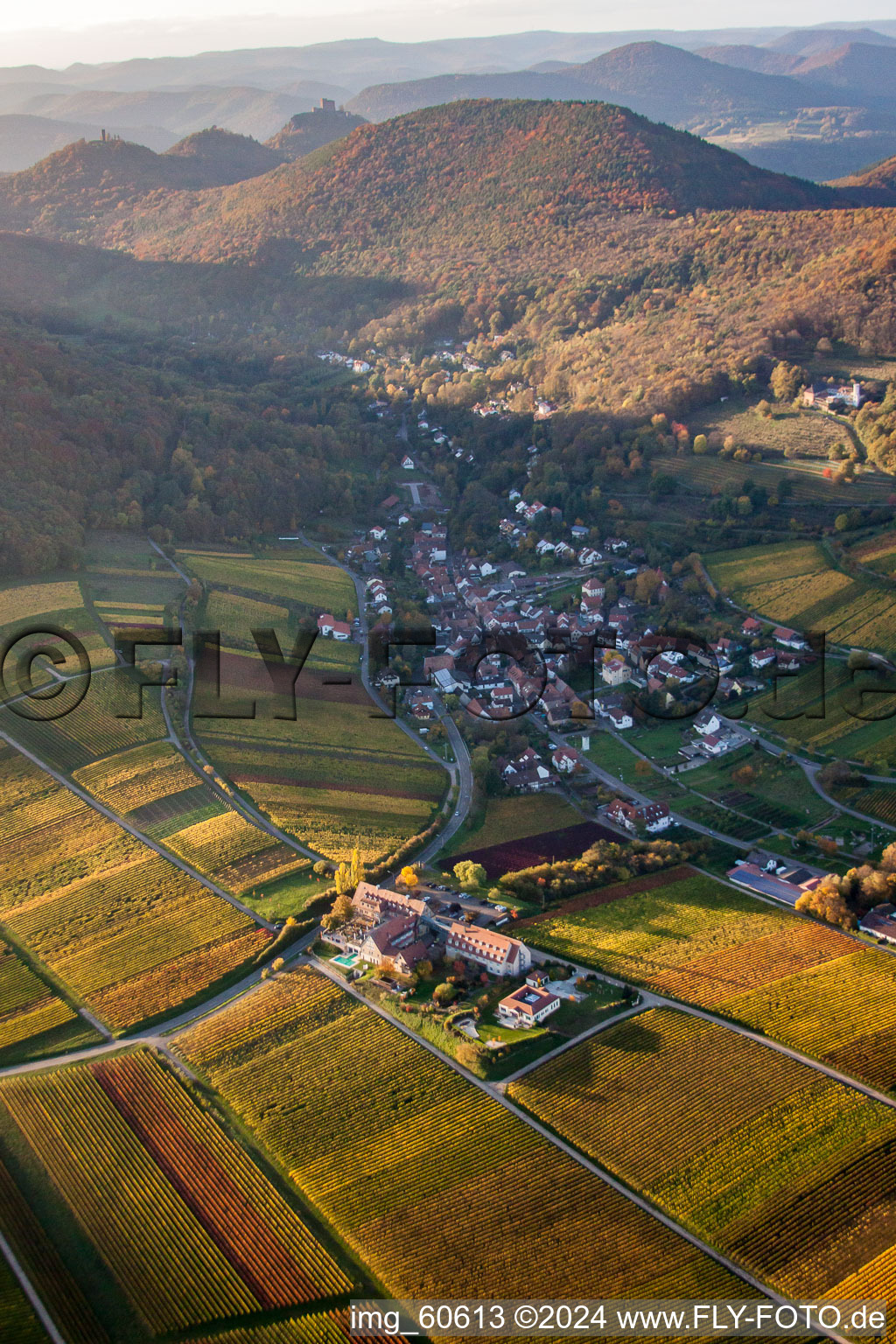 Leinsweiler yard in Leinsweiler in the state Rhineland-Palatinate, Germany seen from above