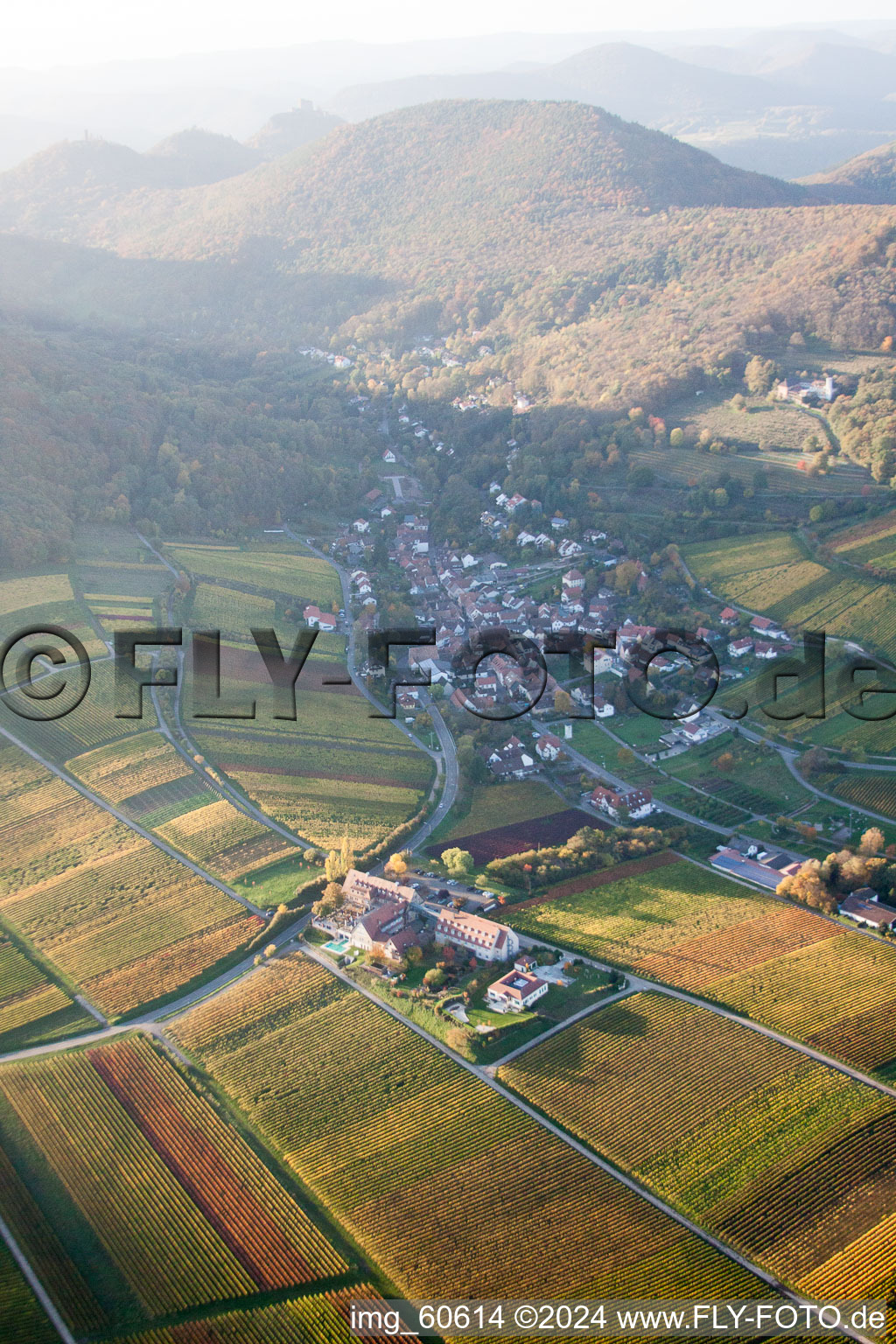 Leinsweiler yard in Leinsweiler in the state Rhineland-Palatinate, Germany from the plane