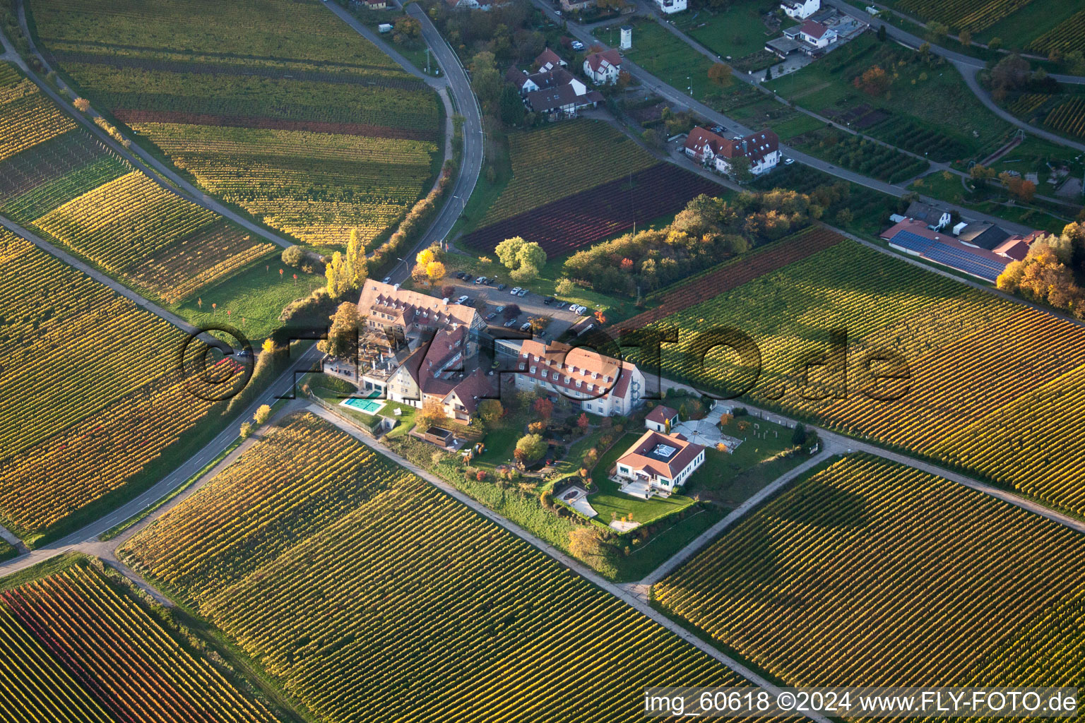 Drone image of Leinsweiler yard in Leinsweiler in the state Rhineland-Palatinate, Germany