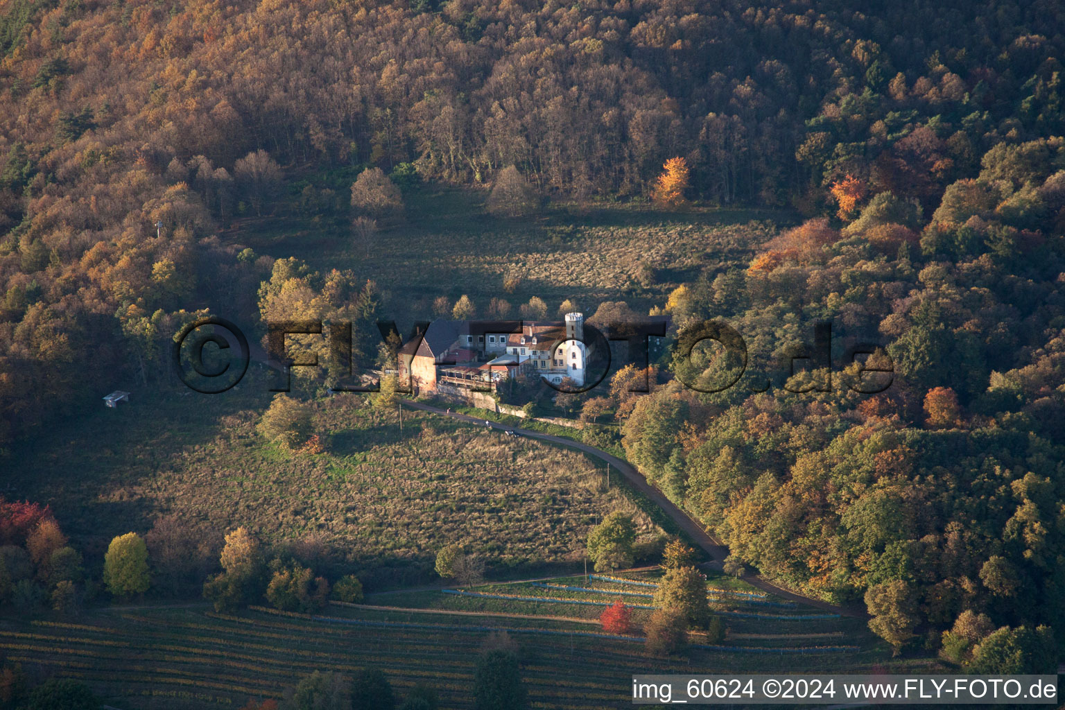 Aerial view of Slevogt-Hof in Leinsweiler in the state Rhineland-Palatinate, Germany