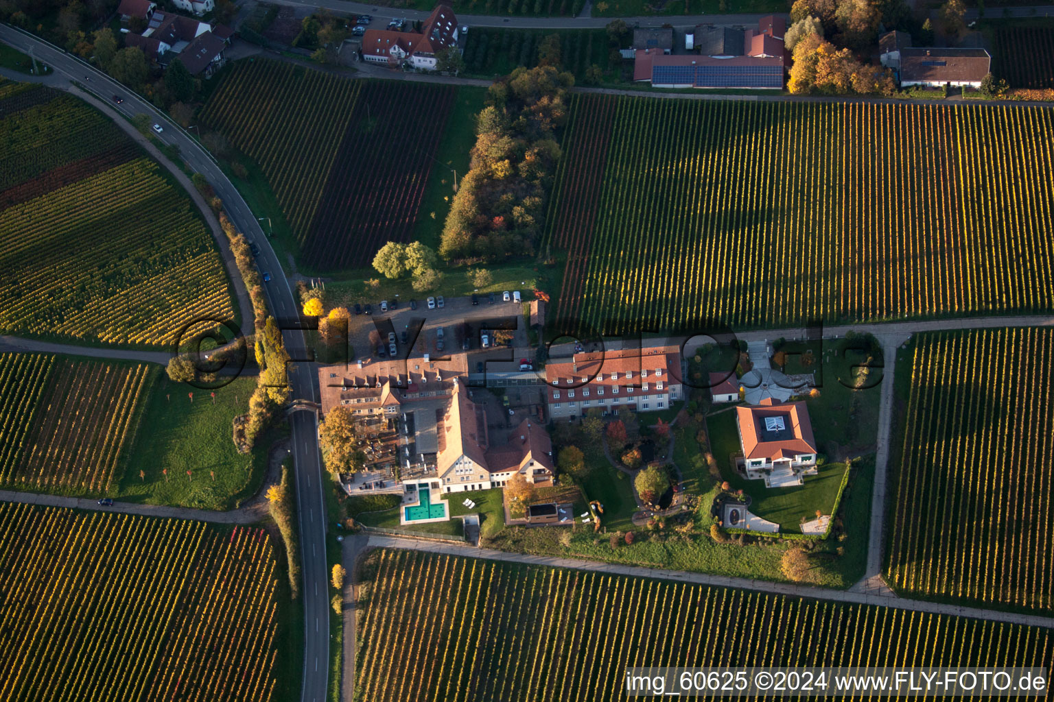 Leinsweiler yard in Leinsweiler in the state Rhineland-Palatinate, Germany from the drone perspective