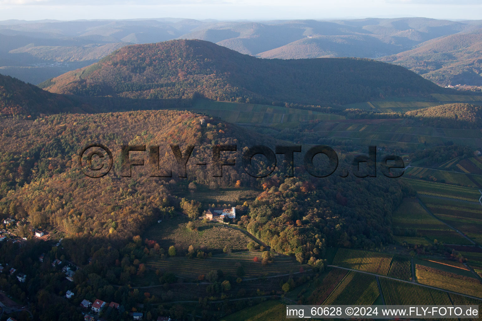 Aerial photograpy of Slevogt-Hof in Leinsweiler in the state Rhineland-Palatinate, Germany