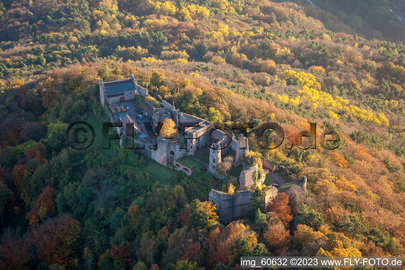 Madenburg in Eschbach in the state Rhineland-Palatinate, Germany seen from above