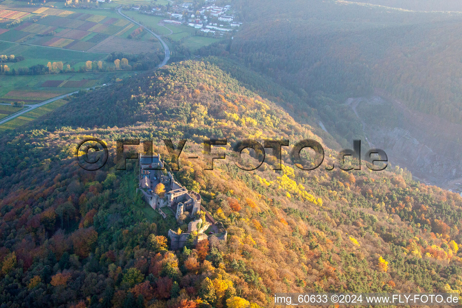 Madenburg in Eschbach in the state Rhineland-Palatinate, Germany from the plane