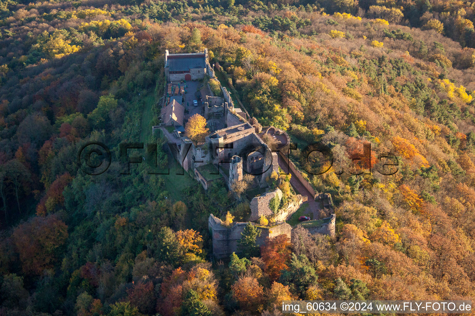 Bird's eye view of Madenburg in Eschbach in the state Rhineland-Palatinate, Germany