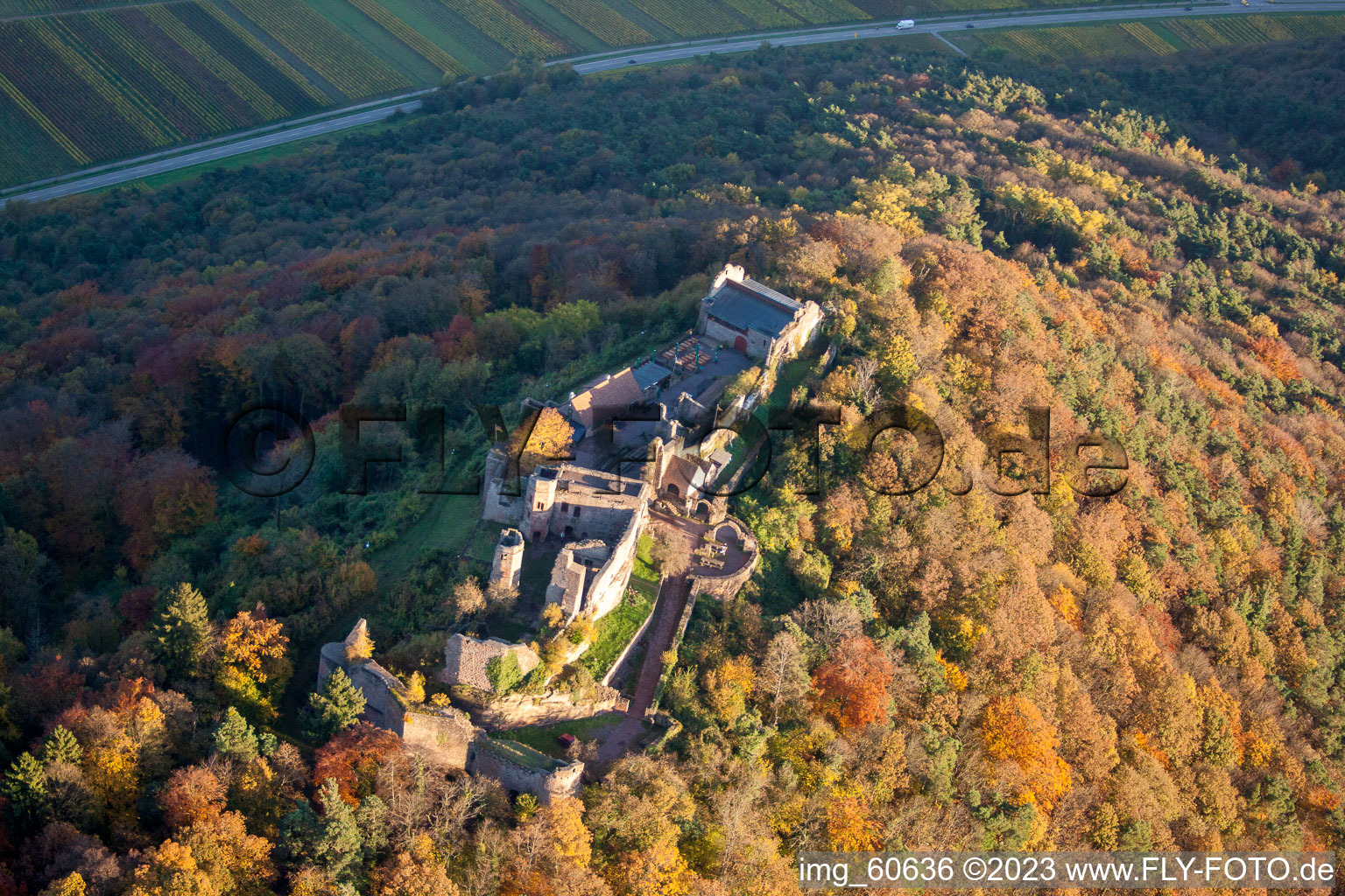 Madenburg in Eschbach in the state Rhineland-Palatinate, Germany viewn from the air