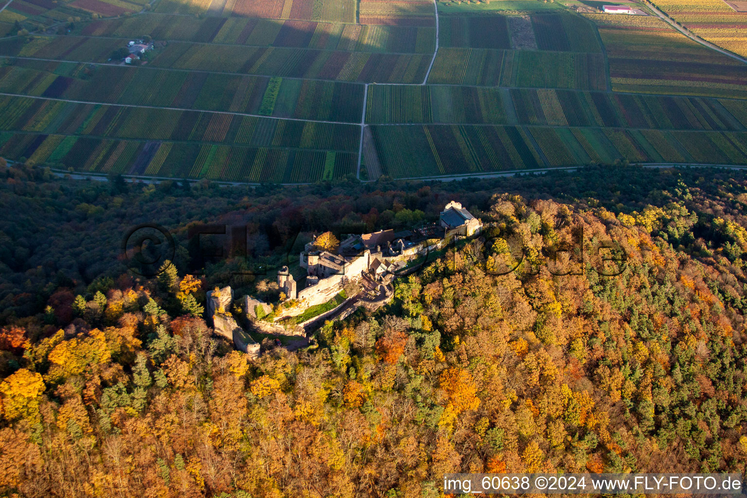 Drone image of Madenburg in Eschbach in the state Rhineland-Palatinate, Germany