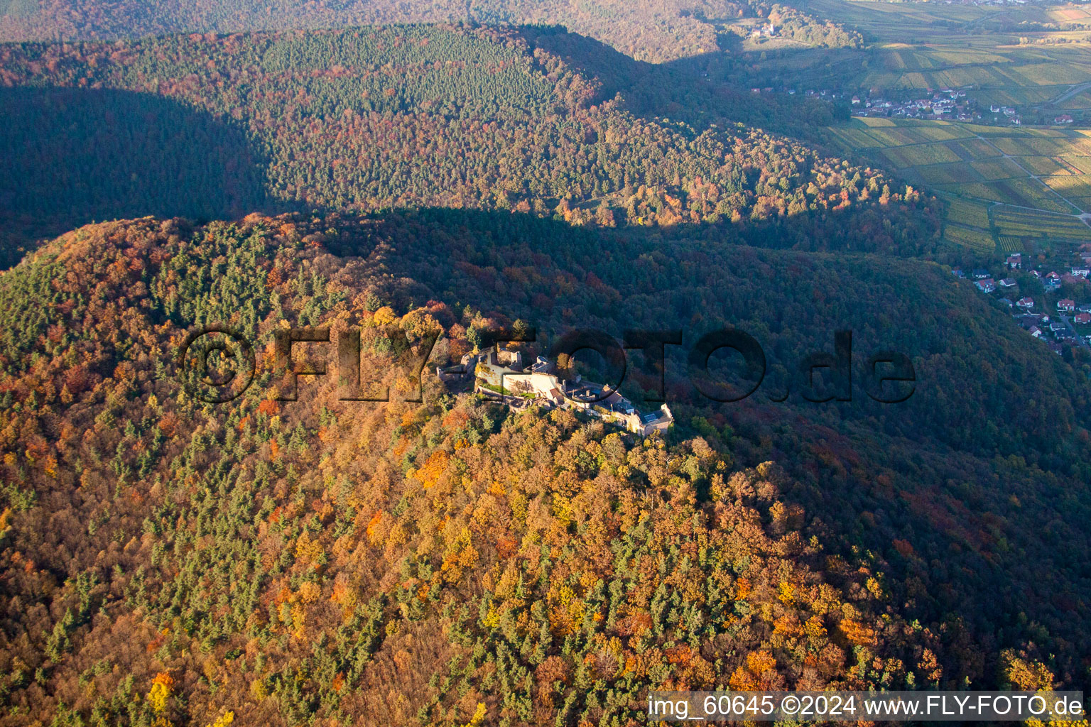 Madenburg in Eschbach in the state Rhineland-Palatinate, Germany seen from a drone