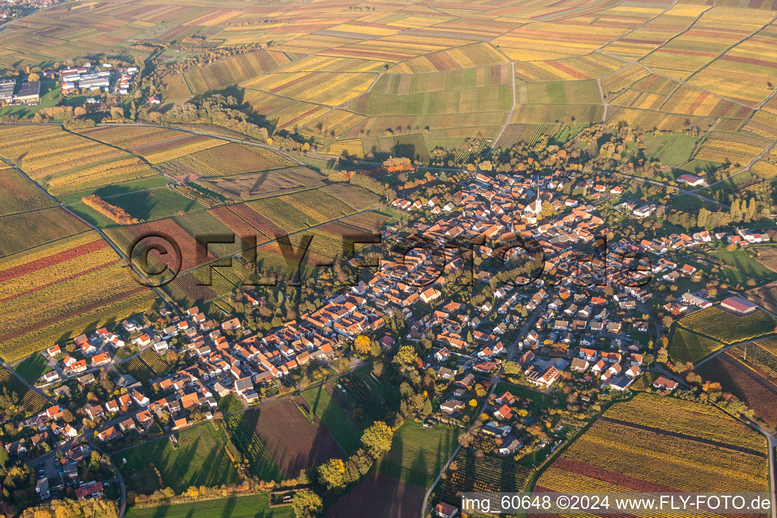 Aerial view of Village - view on the edge of agricultural fields and farmland in Goecklingen in fall and evening colours in the state Rhineland-Palatinate, Germany