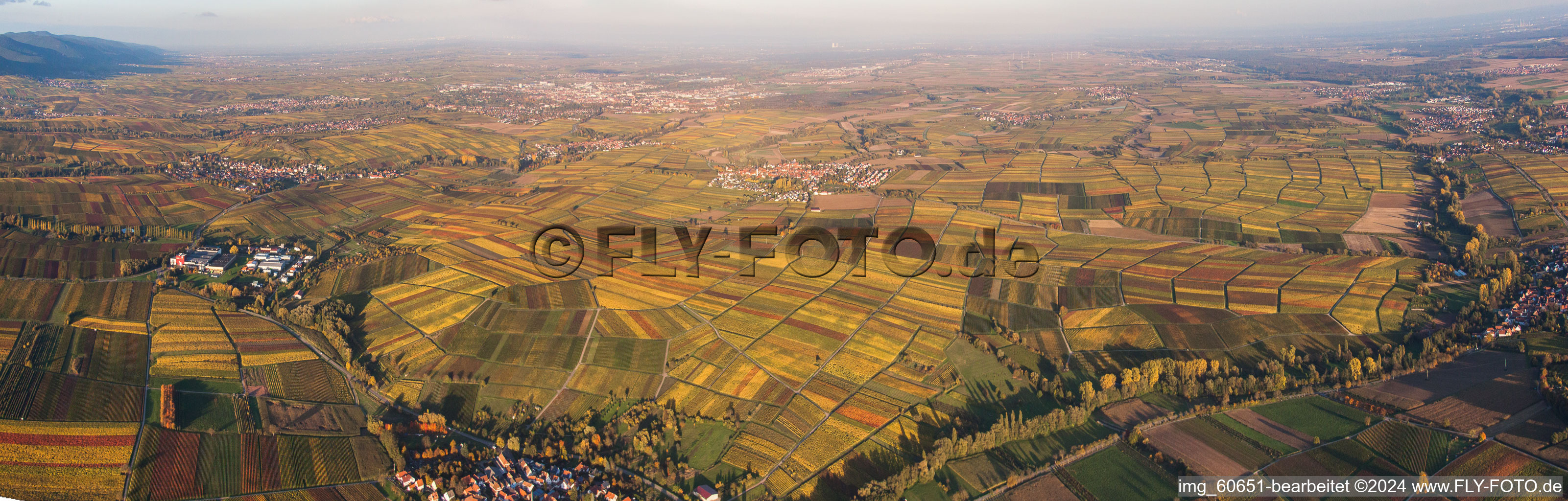 SÜW vineyards in the district Mörzheim in Landau in der Pfalz in the state Rhineland-Palatinate, Germany