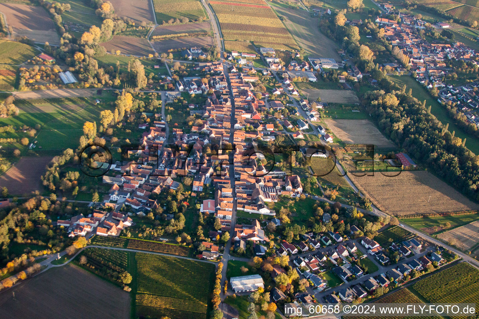 Aerial view of Village - view on the edge of agricultural fields and farmland in the district Heuchelheim in Heuchelheim-Klingen in the state Rhineland-Palatinate, Germany