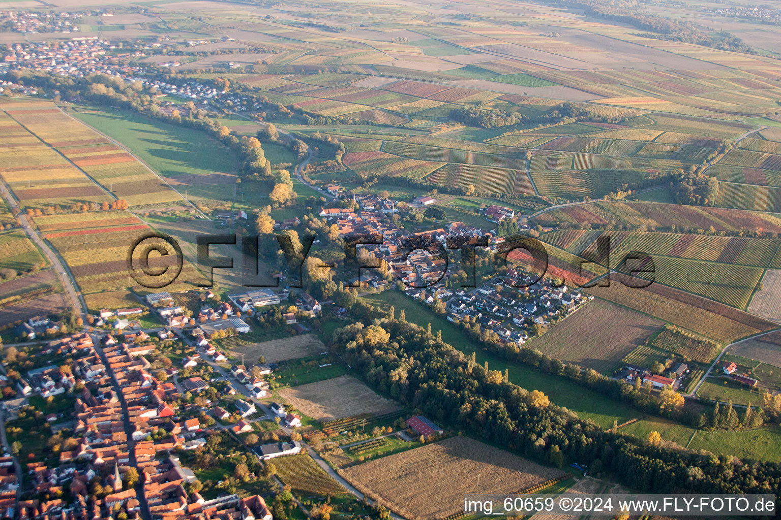 District Klingen in Heuchelheim-Klingen in the state Rhineland-Palatinate, Germany out of the air