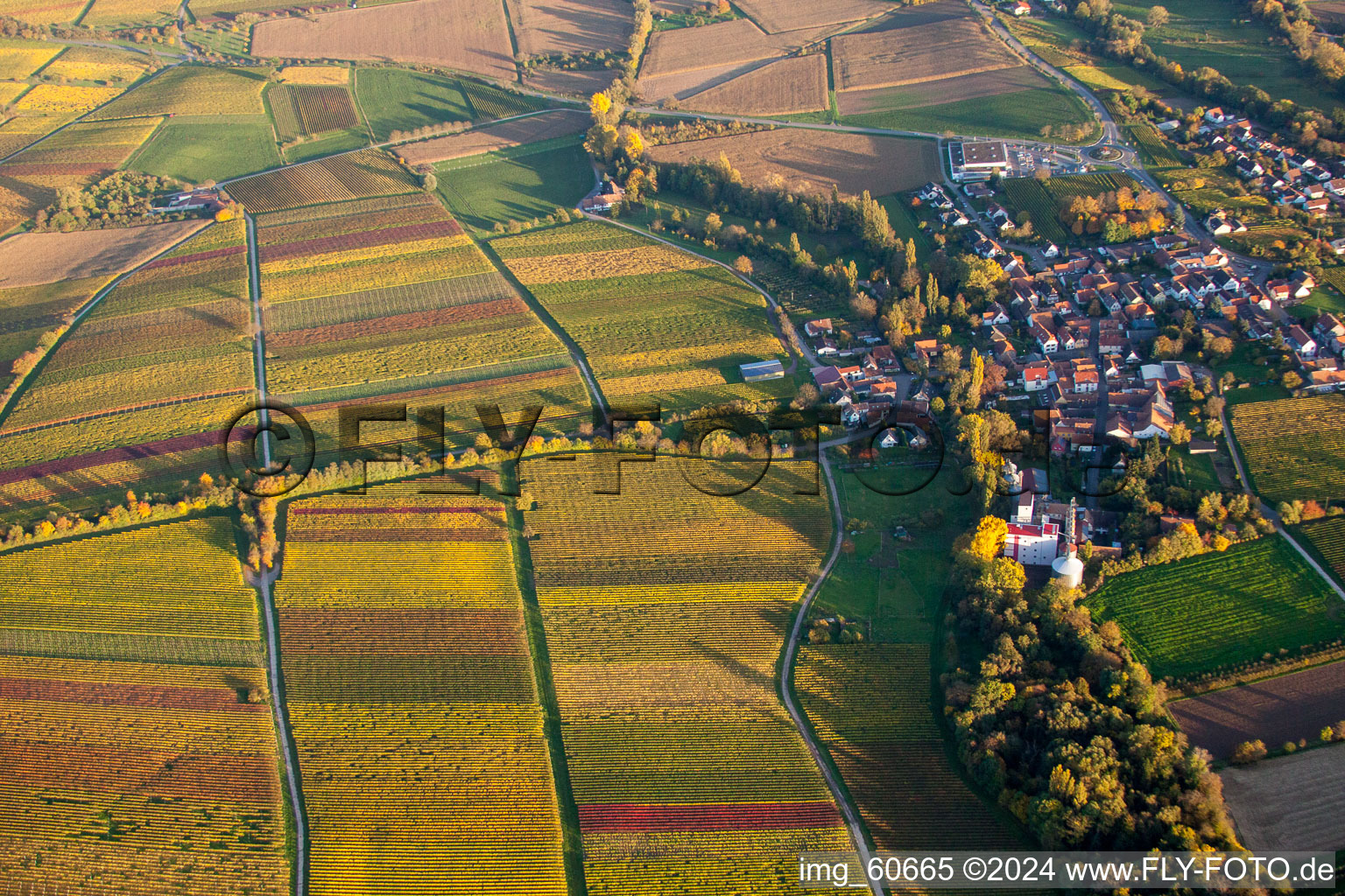 District Appenhofen in Billigheim-Ingenheim in the state Rhineland-Palatinate, Germany from the plane