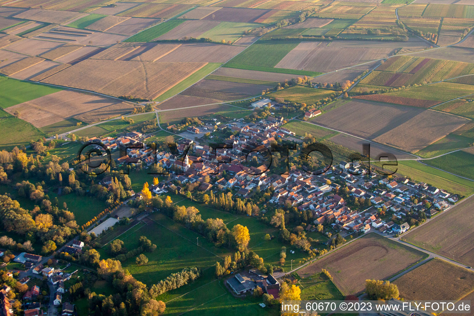 Oblique view of District Mühlhofen in Billigheim-Ingenheim in the state Rhineland-Palatinate, Germany