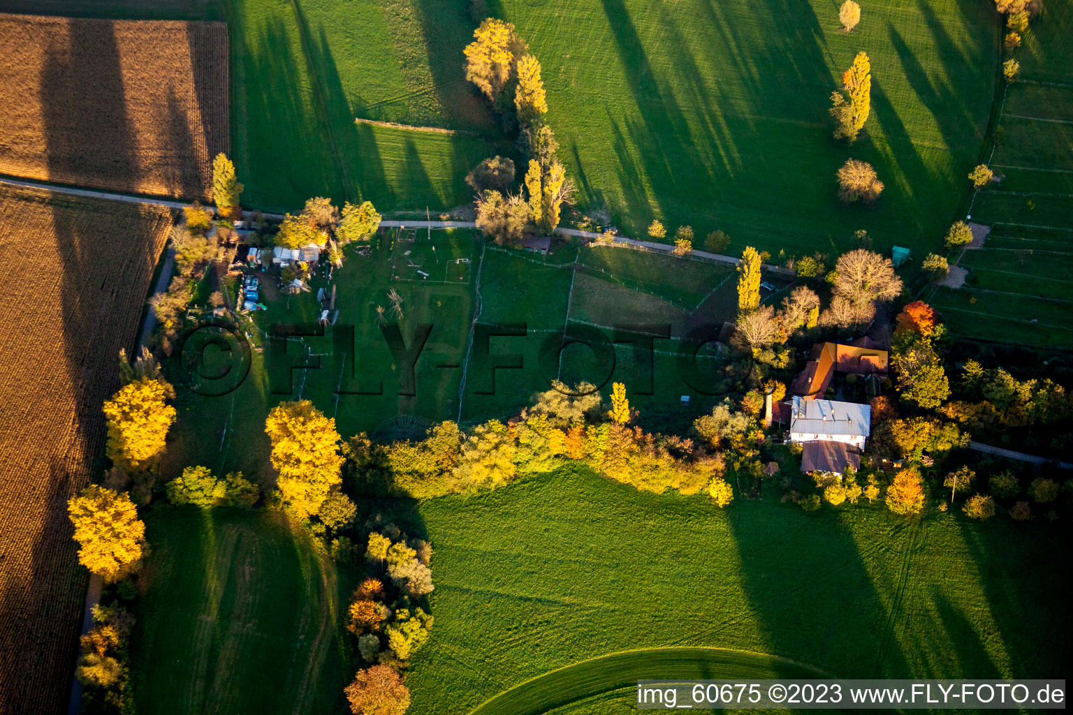 Aerial view of District Billigheim in Billigheim-Ingenheim in the state Rhineland-Palatinate, Germany