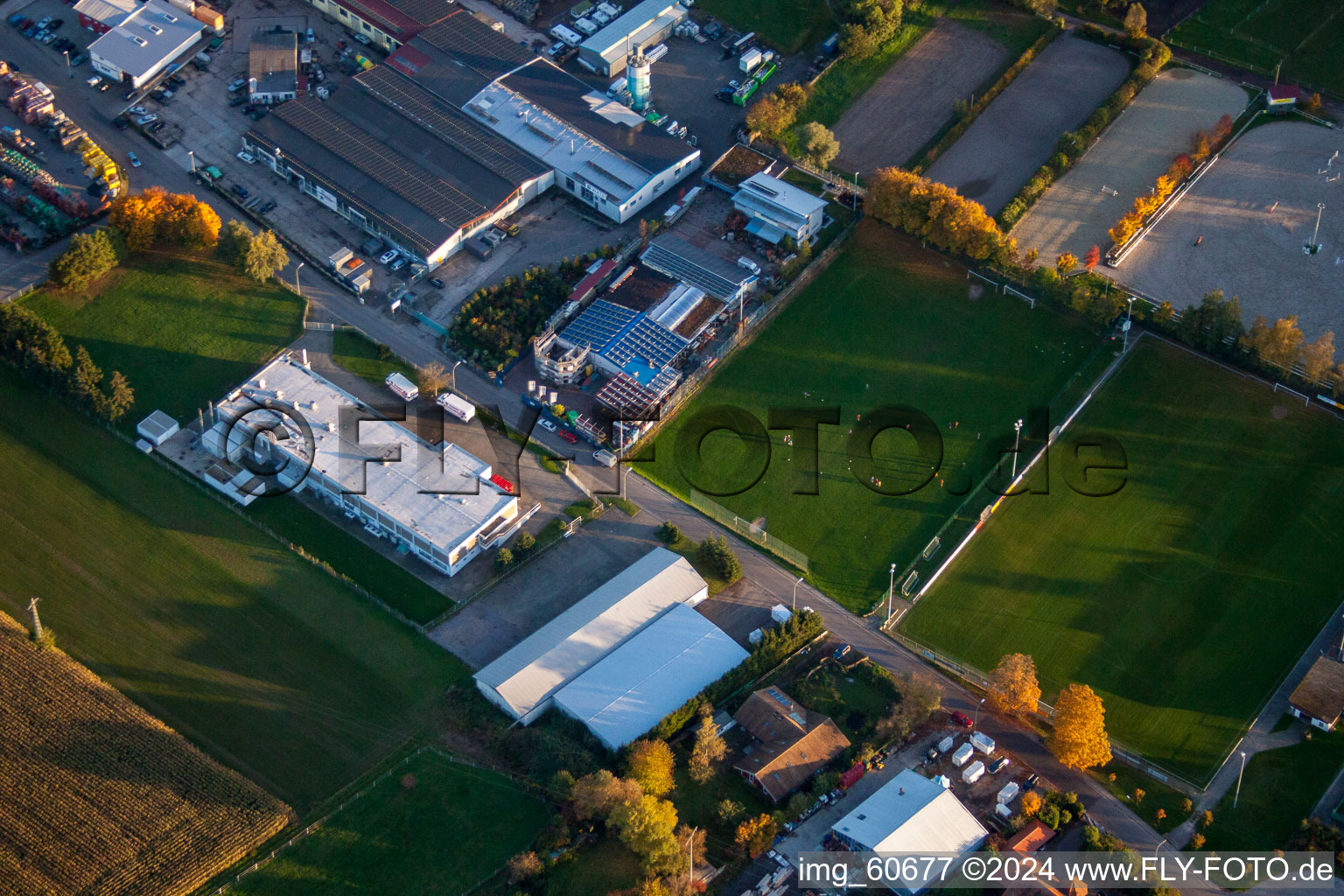 Oblique view of District Billigheim in Billigheim-Ingenheim in the state Rhineland-Palatinate, Germany