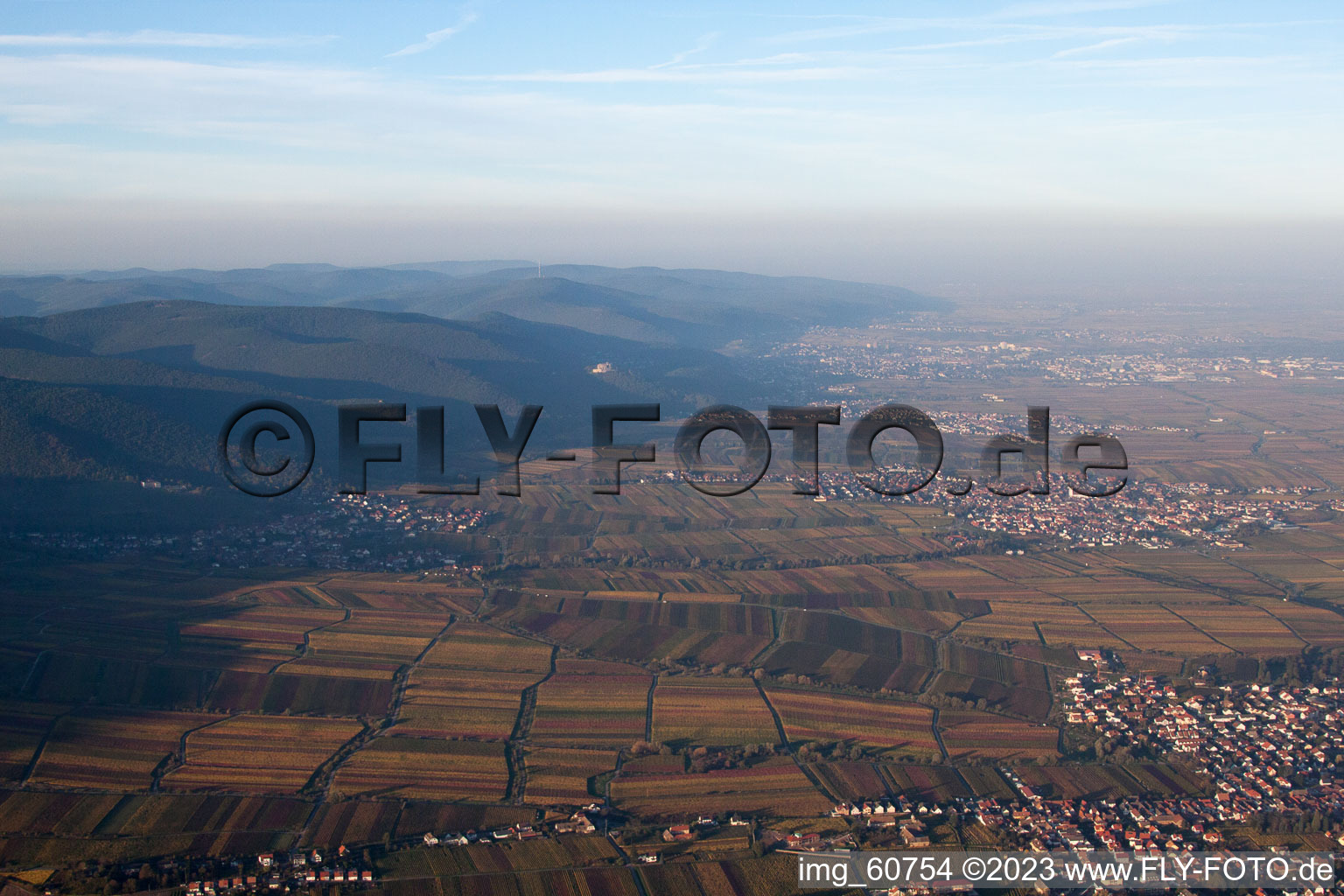 Edenkoben in the state Rhineland-Palatinate, Germany seen from above