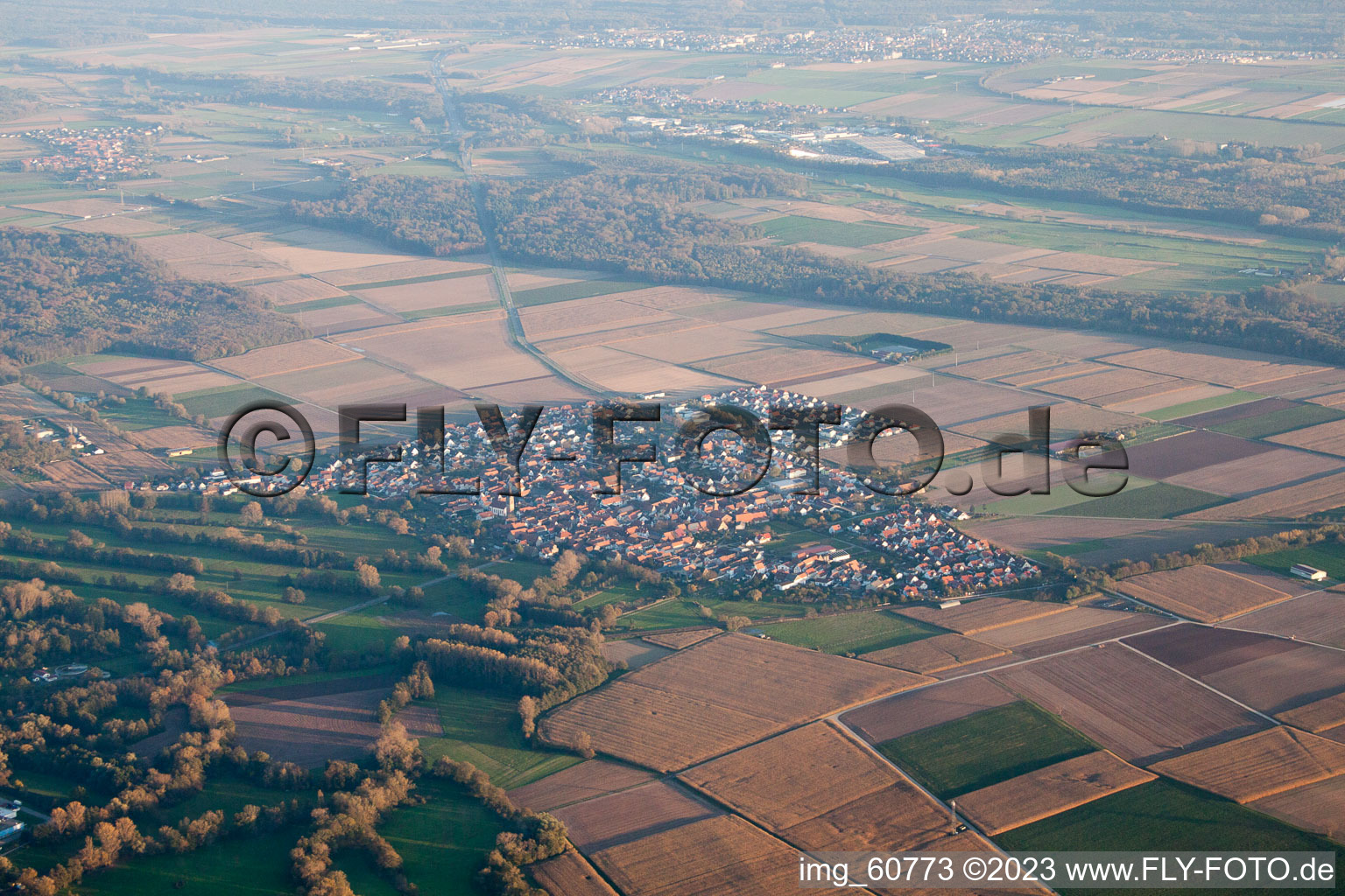 Bird's eye view of Steinweiler in the state Rhineland-Palatinate, Germany