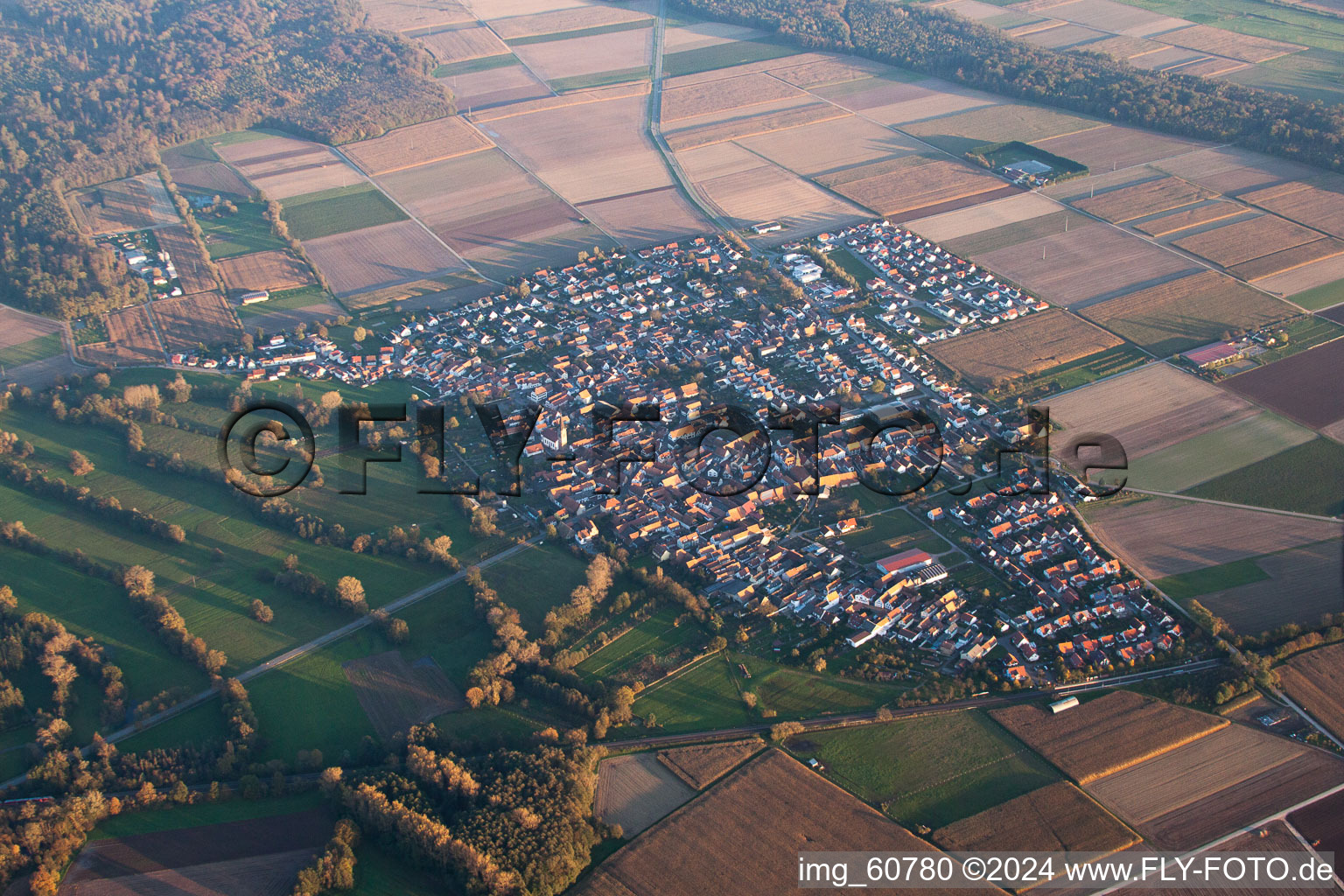 Drone image of Steinweiler in the state Rhineland-Palatinate, Germany