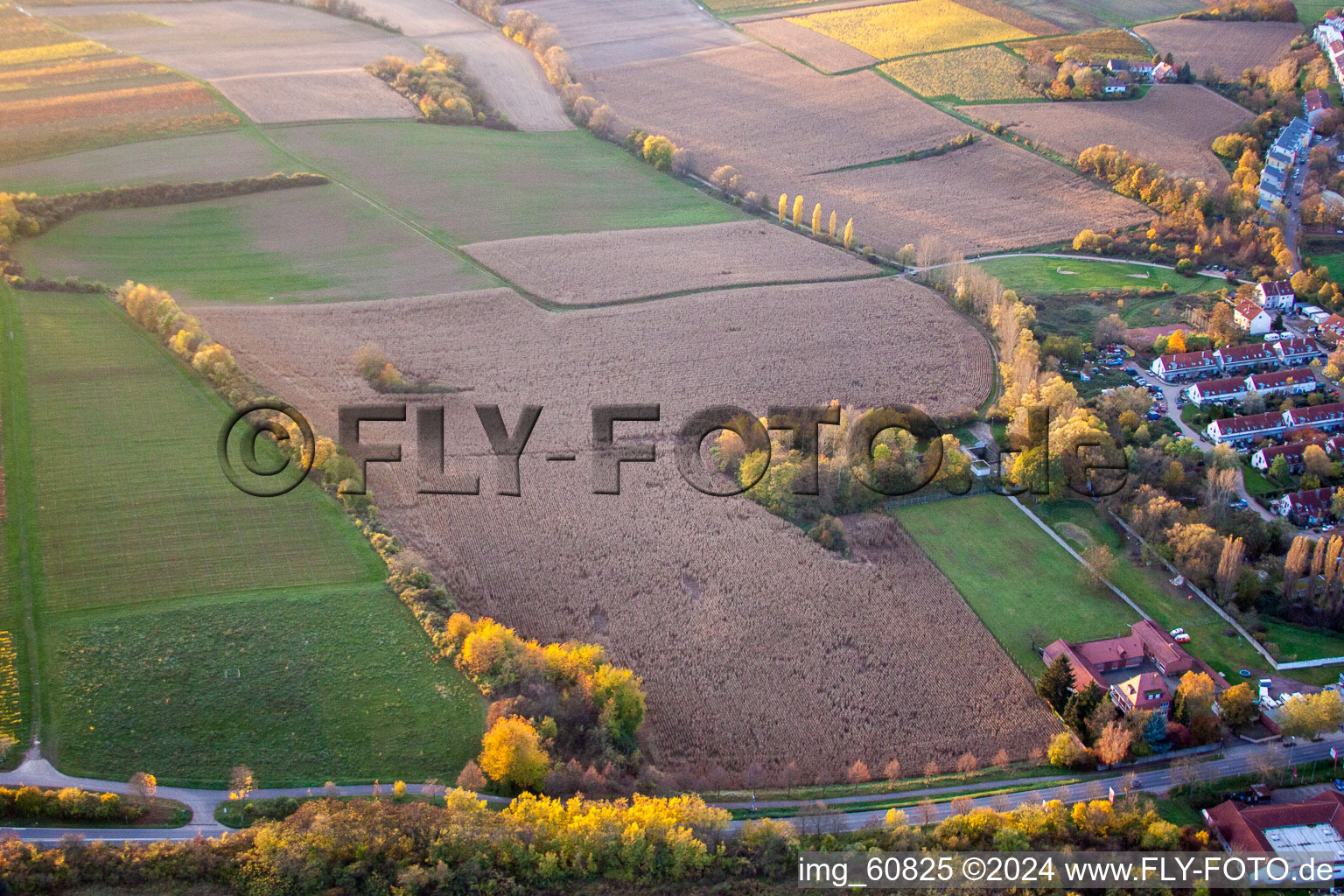 Drone recording of Landau in der Pfalz in the state Rhineland-Palatinate, Germany