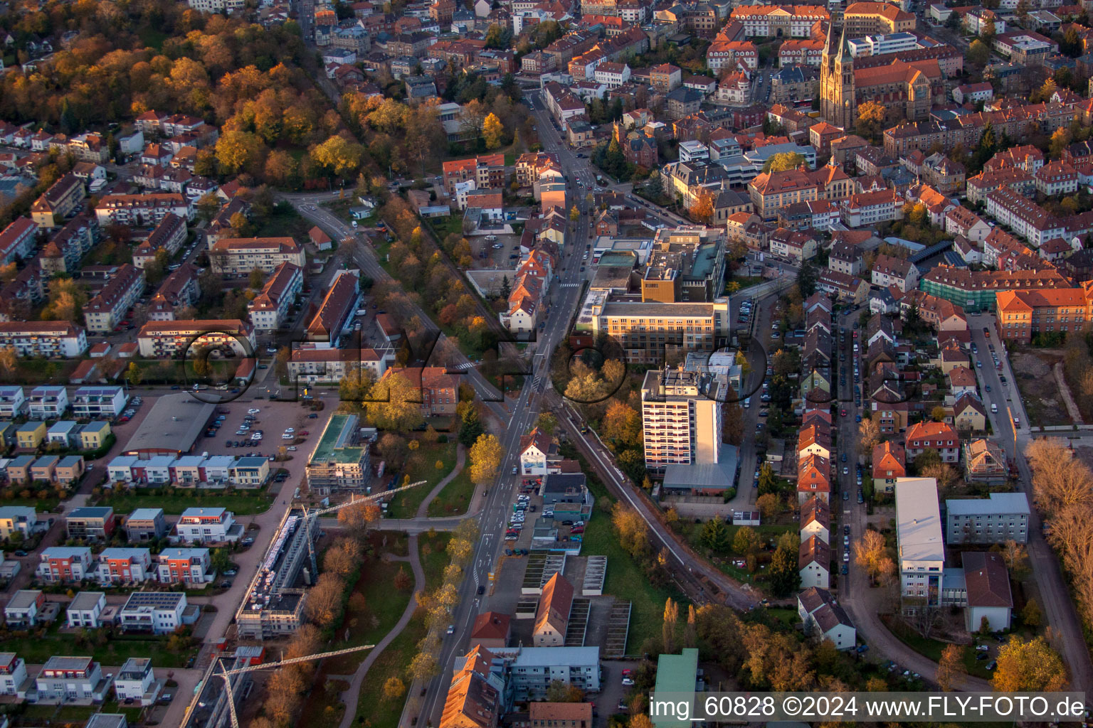 Drone image of Landau in der Pfalz in the state Rhineland-Palatinate, Germany