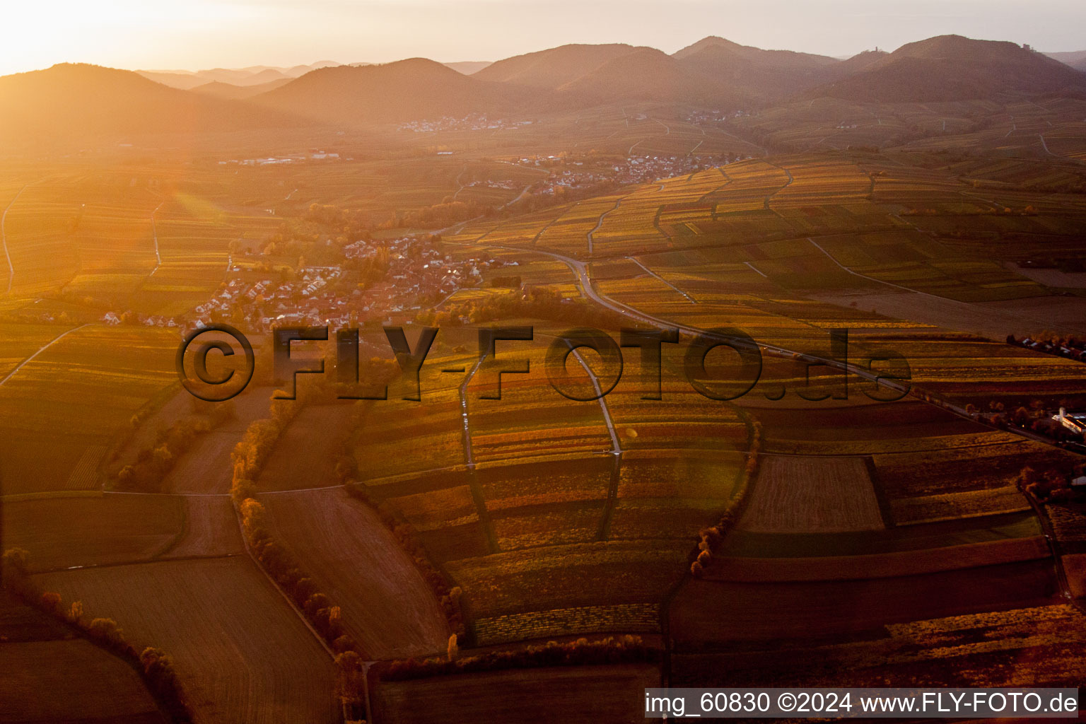 Landau in der Pfalz in the state Rhineland-Palatinate, Germany from the drone perspective