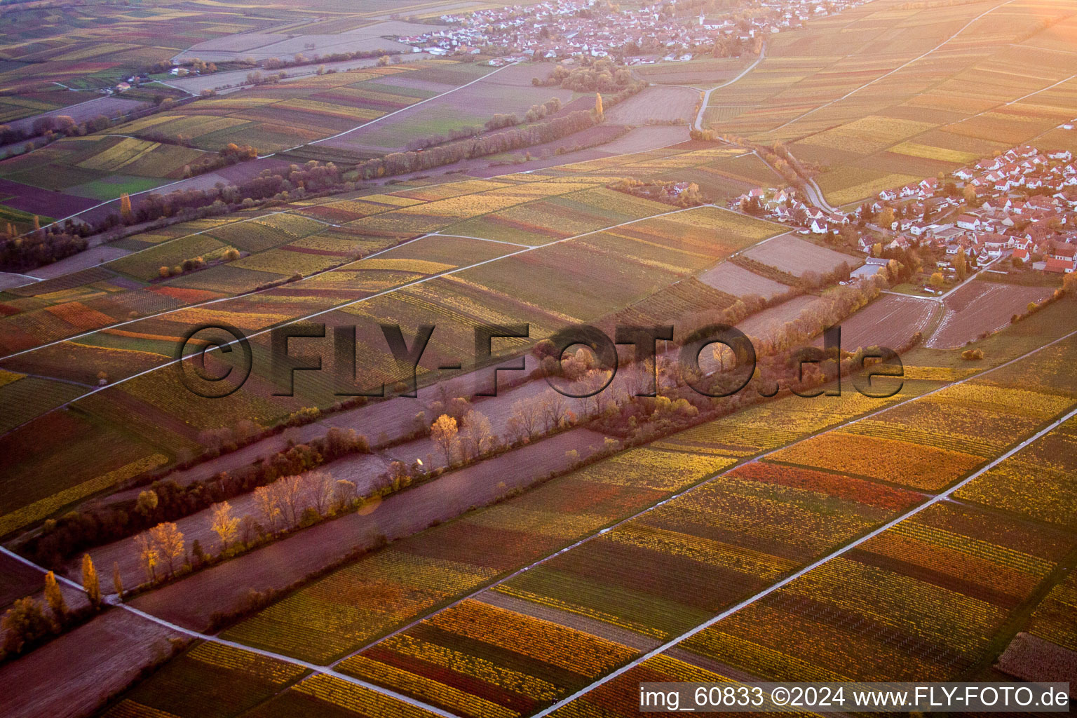 Structures on agricultural fields in the district Wollmesheim in Landau in der Pfalz in the state Rhineland-Palatinate