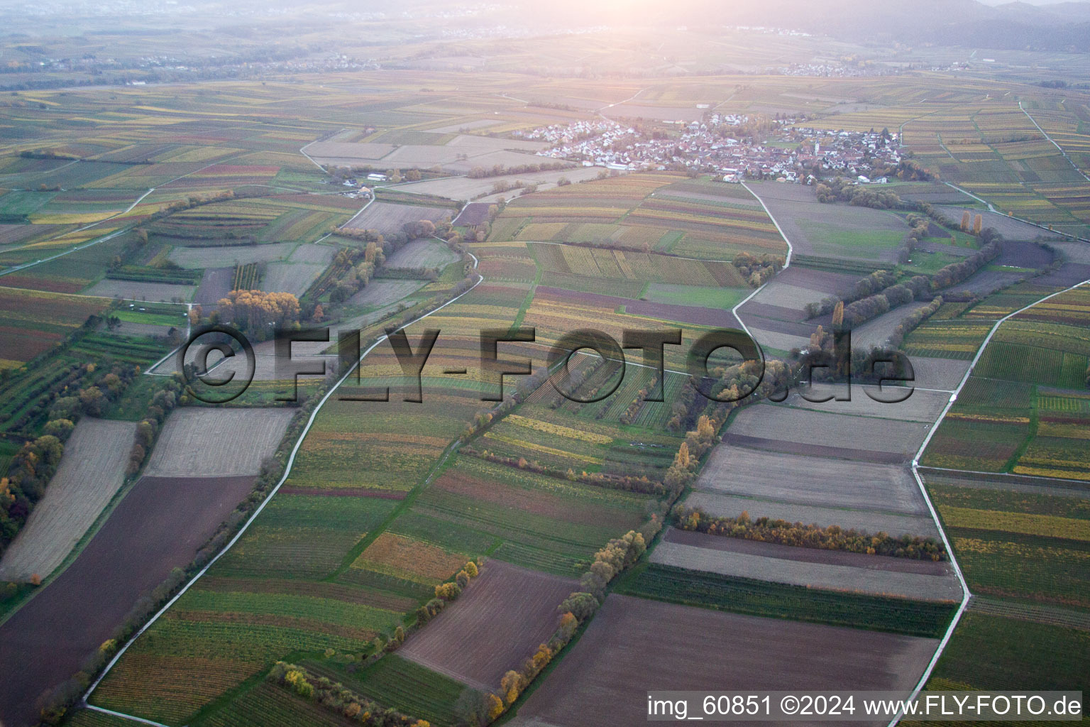 Landau in der Pfalz in the state Rhineland-Palatinate, Germany out of the air