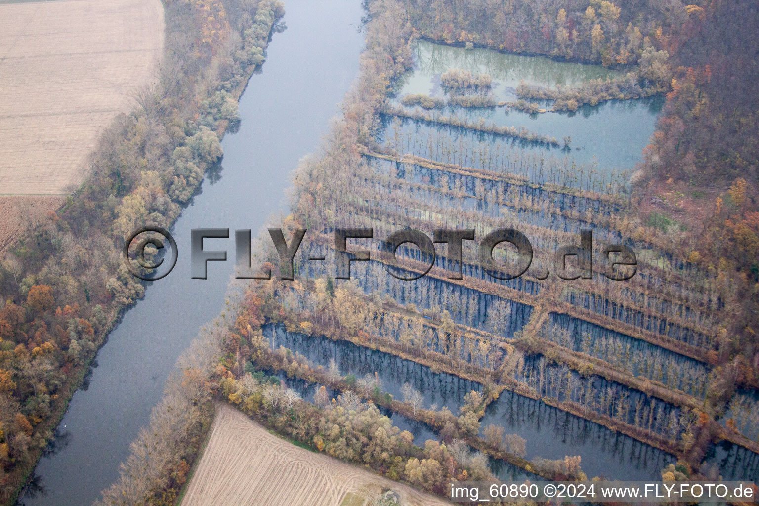 Old Rhine in the district Sondernheim in Germersheim in the state Rhineland-Palatinate, Germany