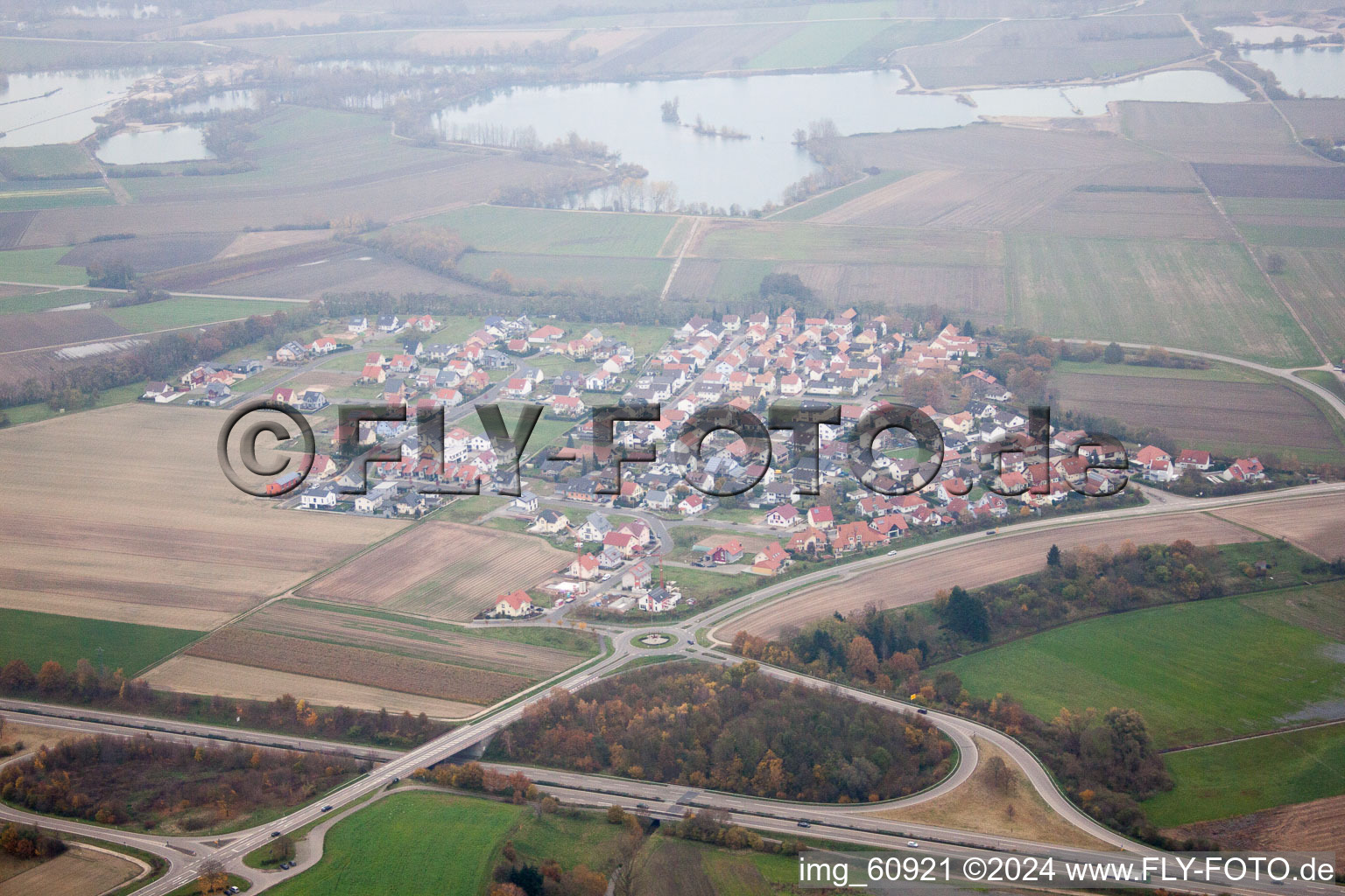 Oblique view of Hardtwald in Neupotz in the state Rhineland-Palatinate, Germany