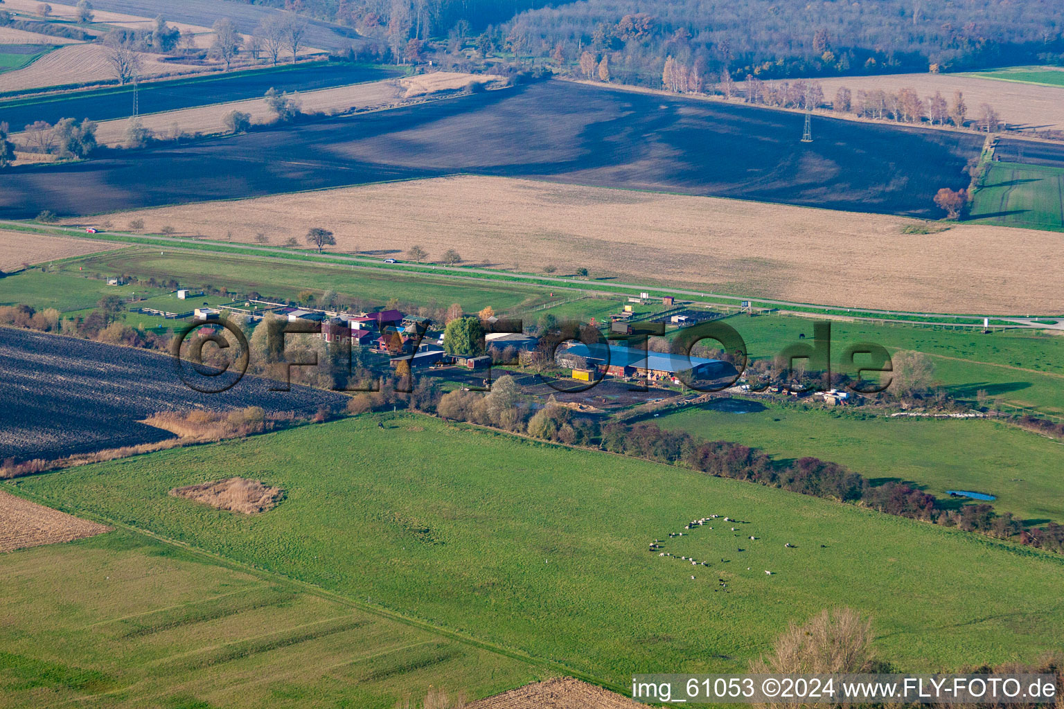 Oblique view of Stork Farm in the district Rußheim in Dettenheim in the state Baden-Wuerttemberg, Germany