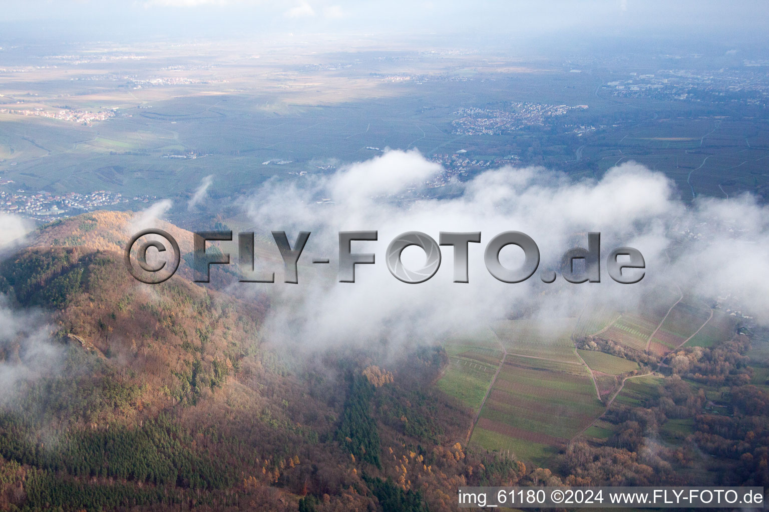 Aerial view of Birkweiler in the state Rhineland-Palatinate, Germany