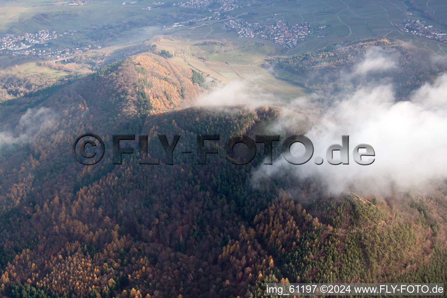 Hohenberg in Annweiler am Trifels in the state Rhineland-Palatinate, Germany