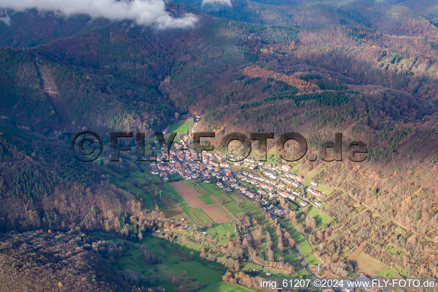 Bird's eye view of Annweiler am Trifels in the state Rhineland-Palatinate, Germany