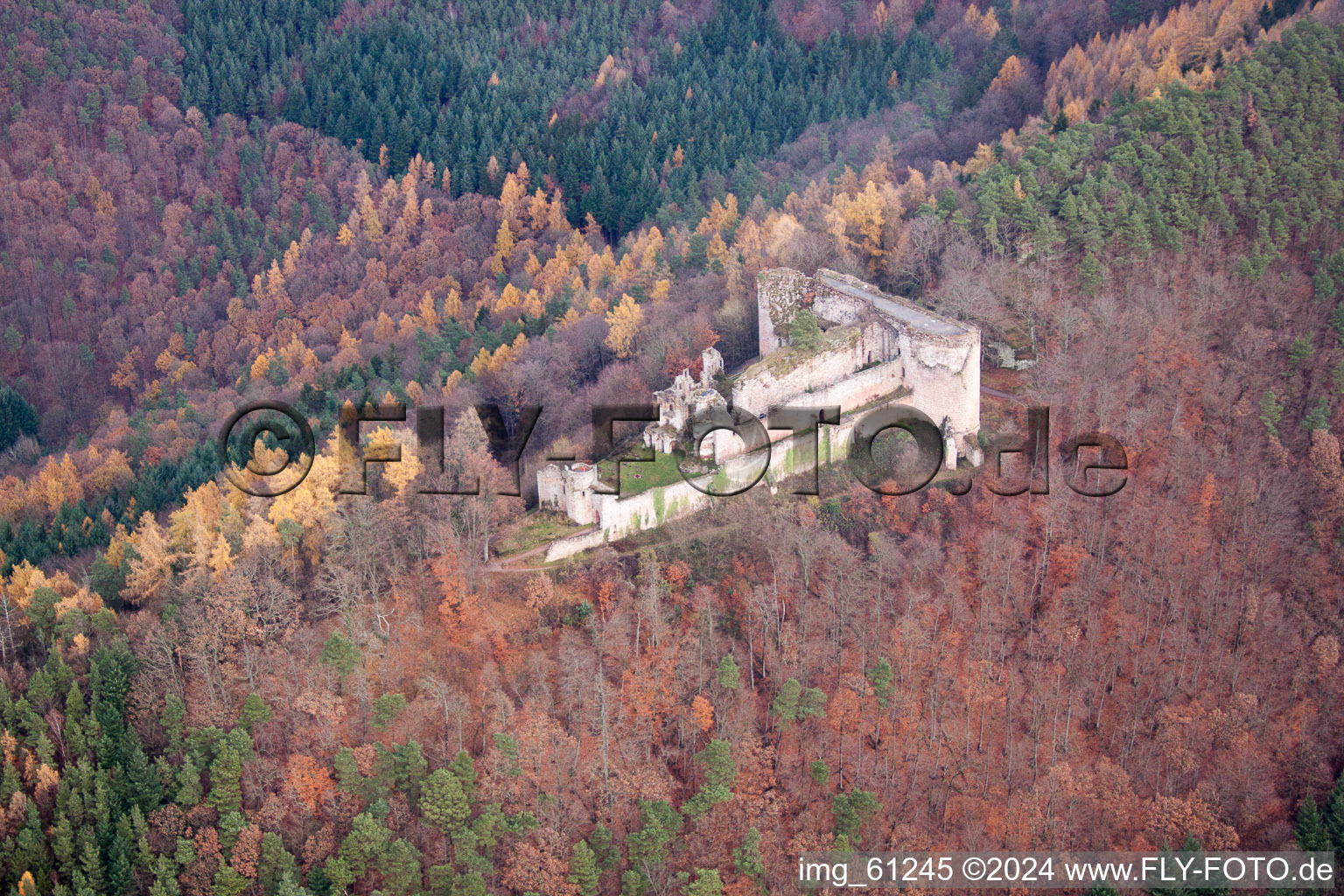 Ruins and vestiges of the former castle and fortress castle Neuscharfeneck in autumn - indian summer in Flemlingen in the state Rhineland-Palatinate