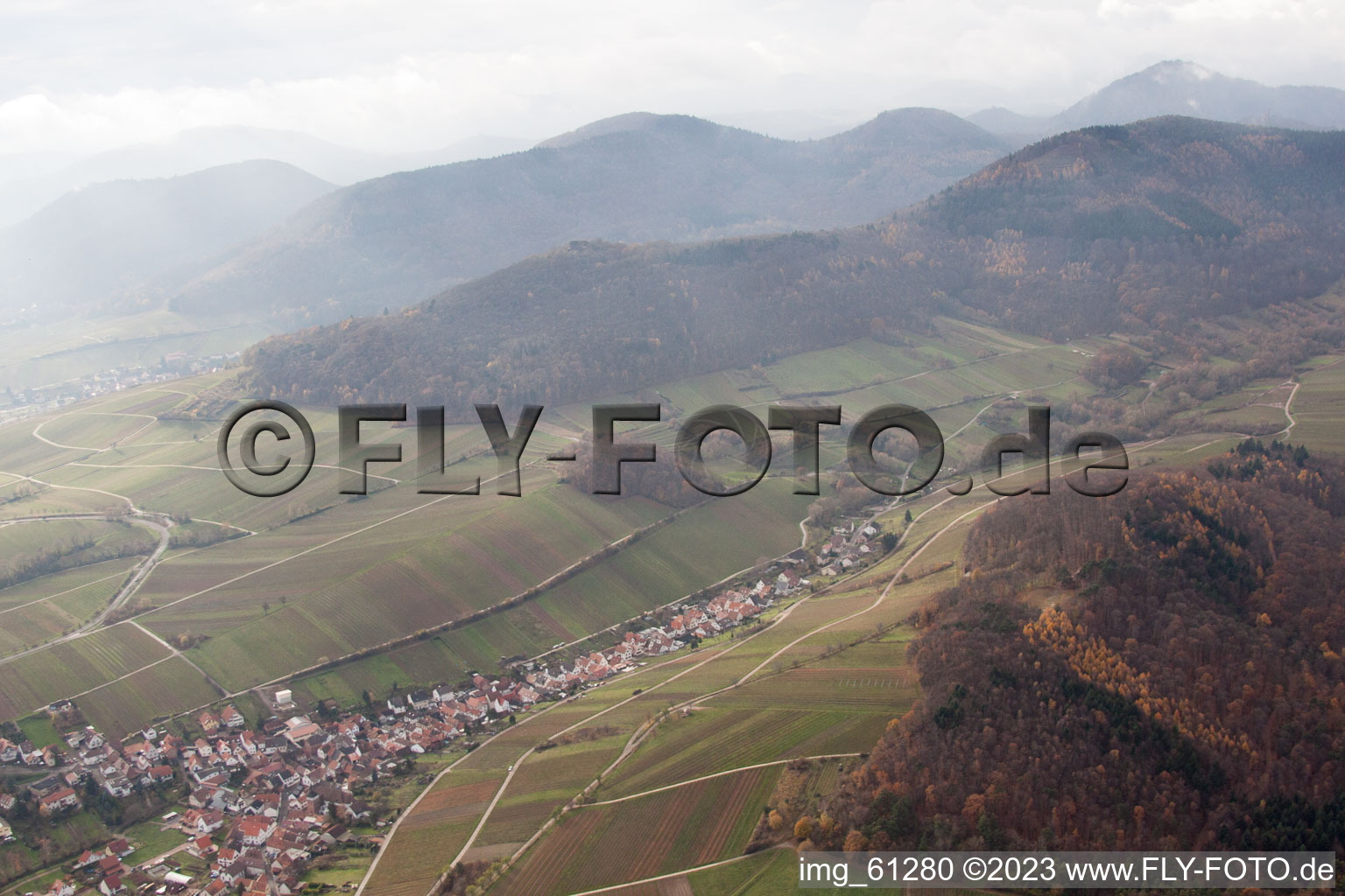 Birkweiler in the state Rhineland-Palatinate, Germany from above