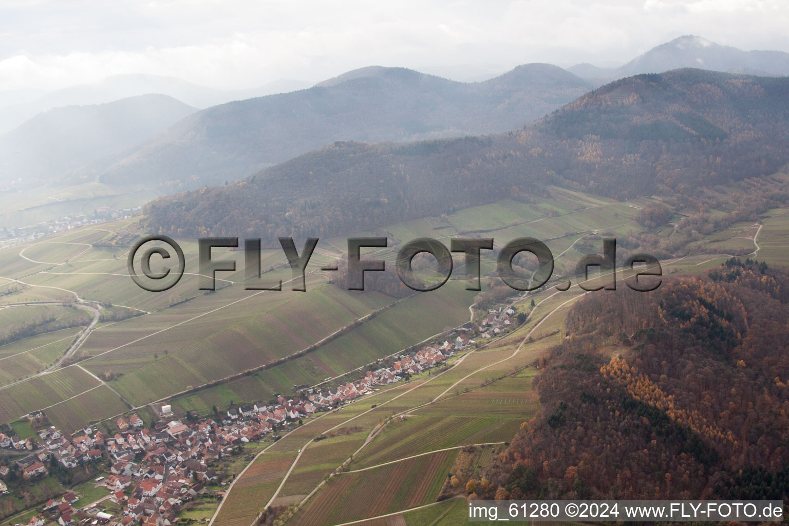 Oblique view of Birkweiler in the state Rhineland-Palatinate, Germany