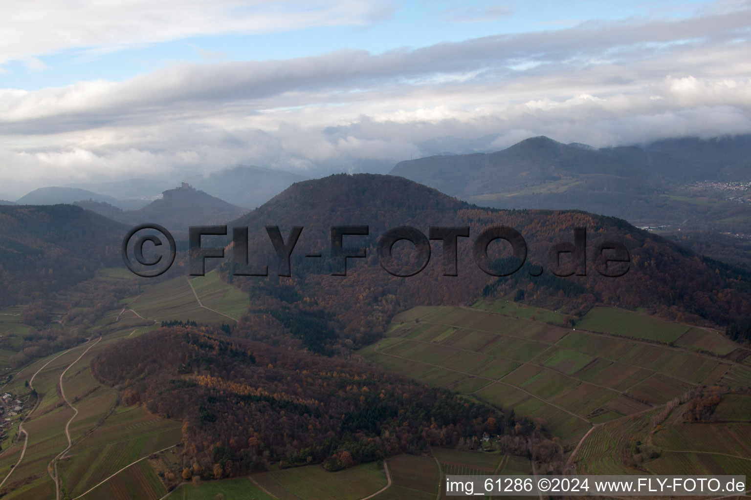 Hohenberg in Birkweiler in the state Rhineland-Palatinate, Germany