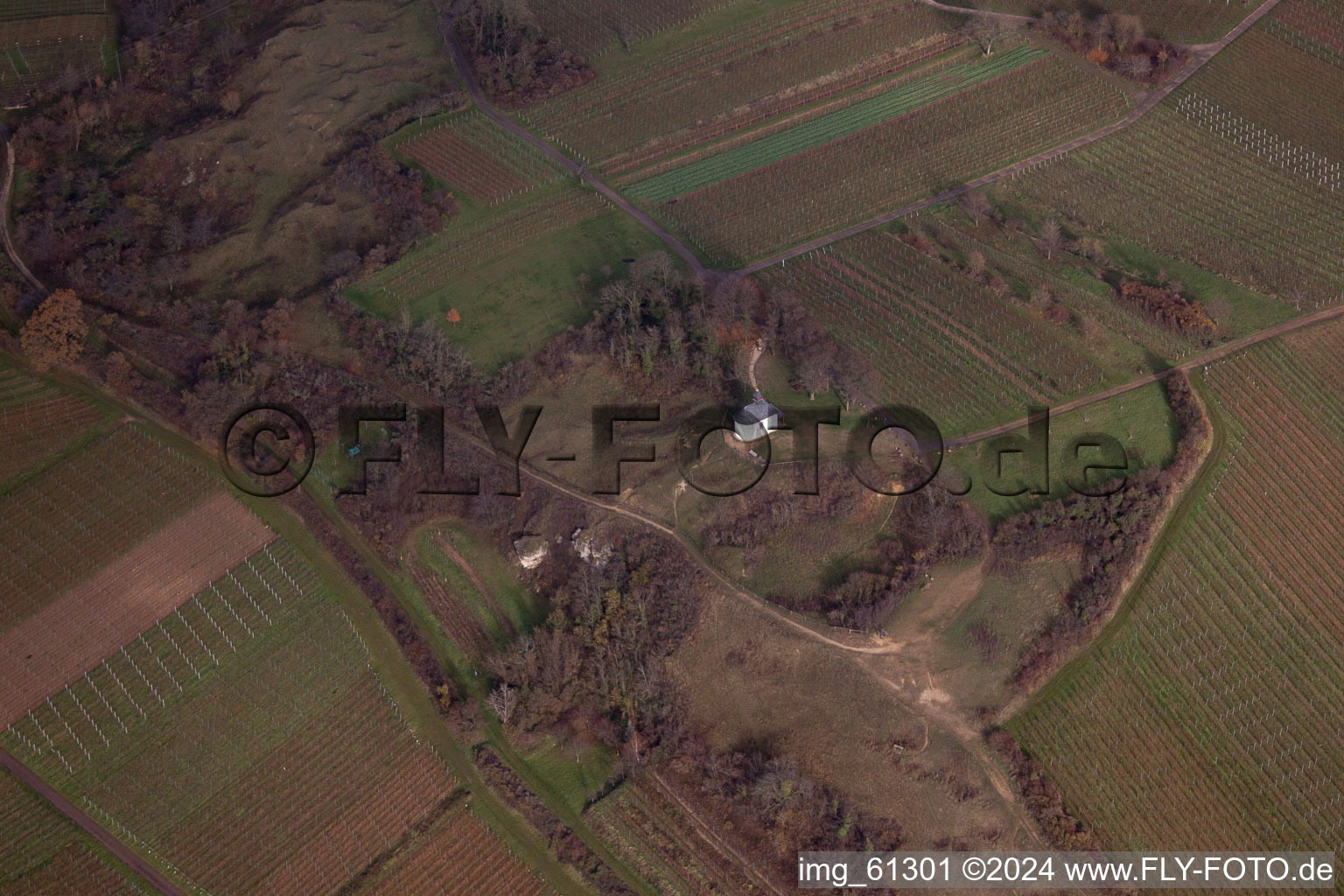 Small Kalmit in Ilbesheim bei Landau in der Pfalz in the state Rhineland-Palatinate, Germany out of the air