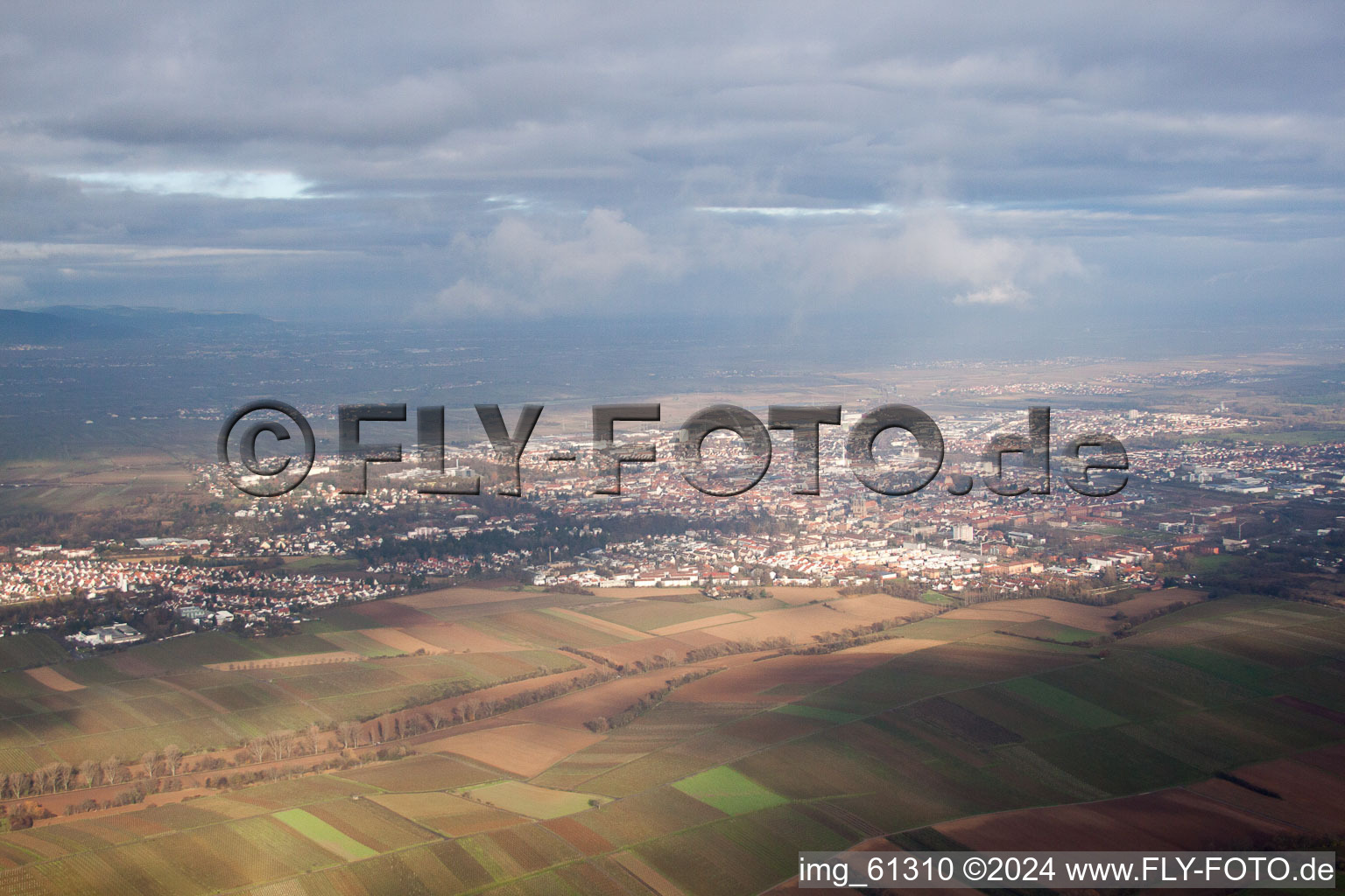 District Mörzheim in Landau in der Pfalz in the state Rhineland-Palatinate, Germany seen from a drone