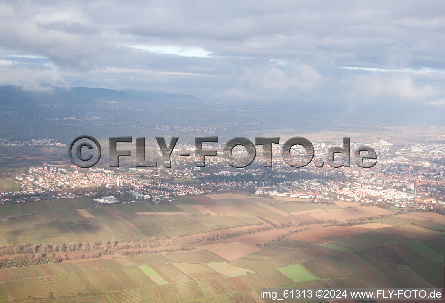 Aerial photograpy of District Mörzheim in Landau in der Pfalz in the state Rhineland-Palatinate, Germany