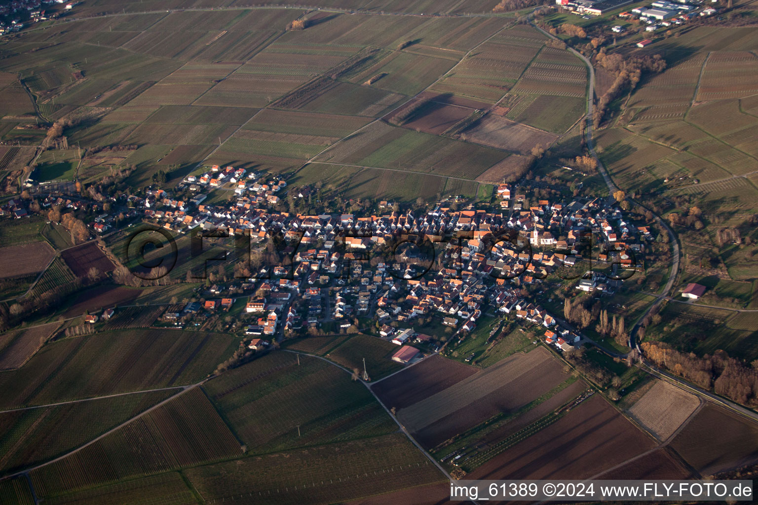 Oblique view of Göcklingen in the state Rhineland-Palatinate, Germany