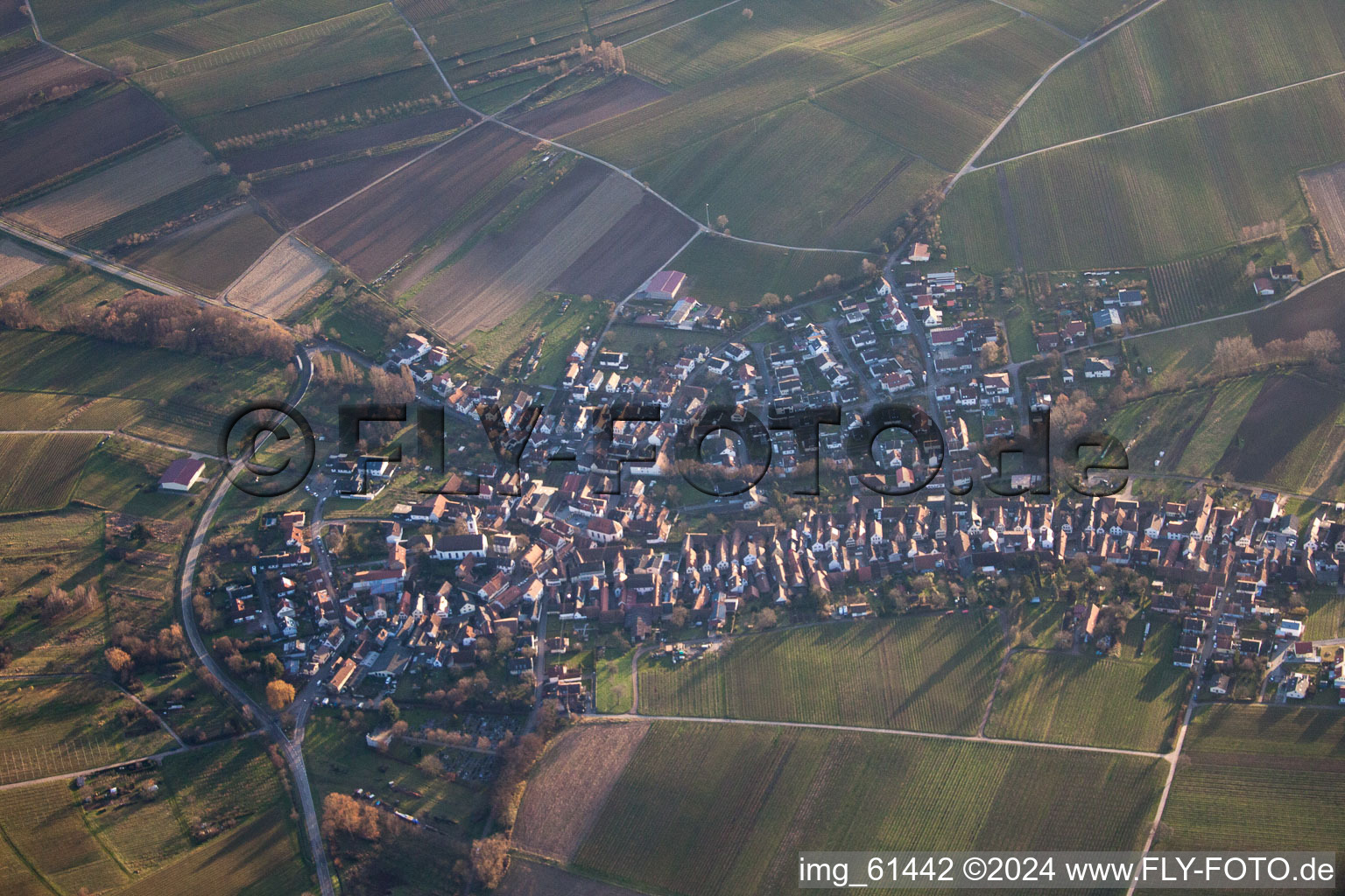 Göcklingen in the state Rhineland-Palatinate, Germany from above