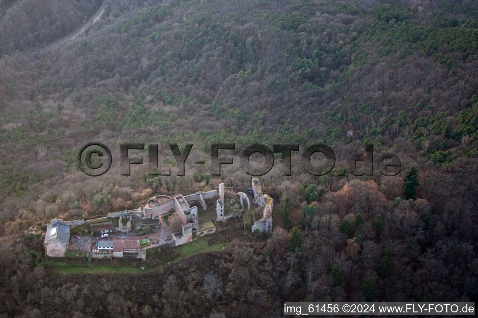 Madenburg in Eschbach in the state Rhineland-Palatinate, Germany from above