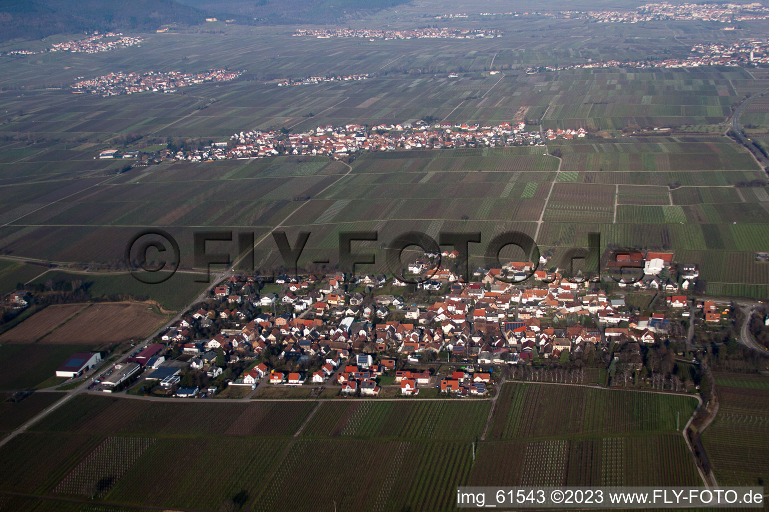 Walsheim in the state Rhineland-Palatinate, Germany seen from above