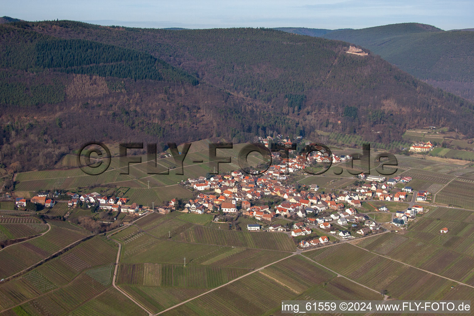 Aerial photograpy of Fields of wine cultivation landscape Palatinate wine street in Weyher in der Pfalz in the state Rhineland-Palatinate, Germany