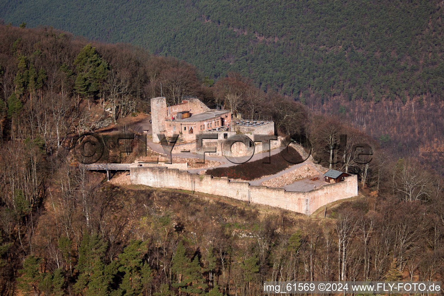 Aerial view of Castle ruins Rietburg Rietburg in the district Rhodt in Rhodt unter Rietburg in the state Rhineland-Palatinate, Germany