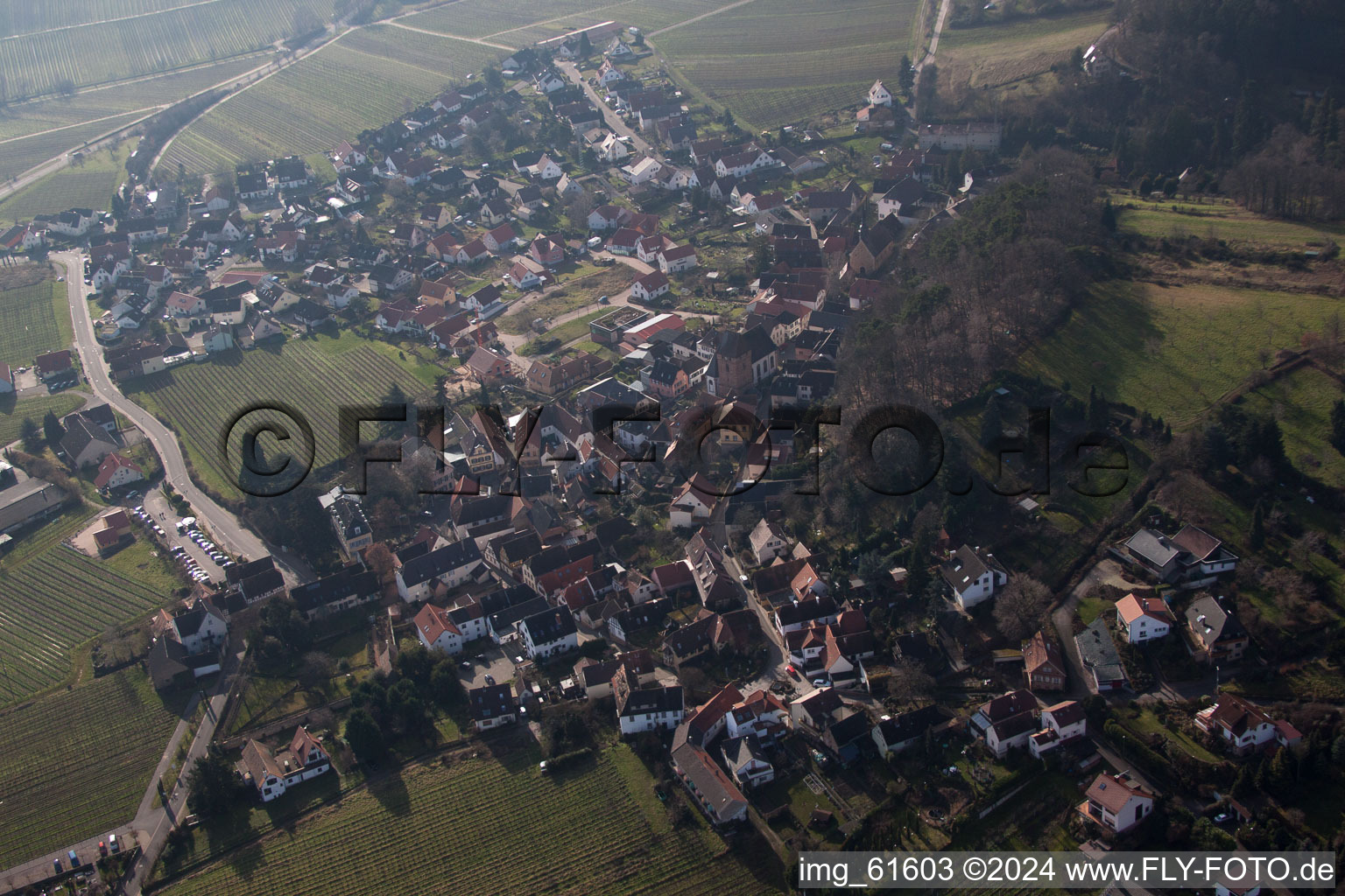 Burrweiler in the state Rhineland-Palatinate, Germany from the drone perspective