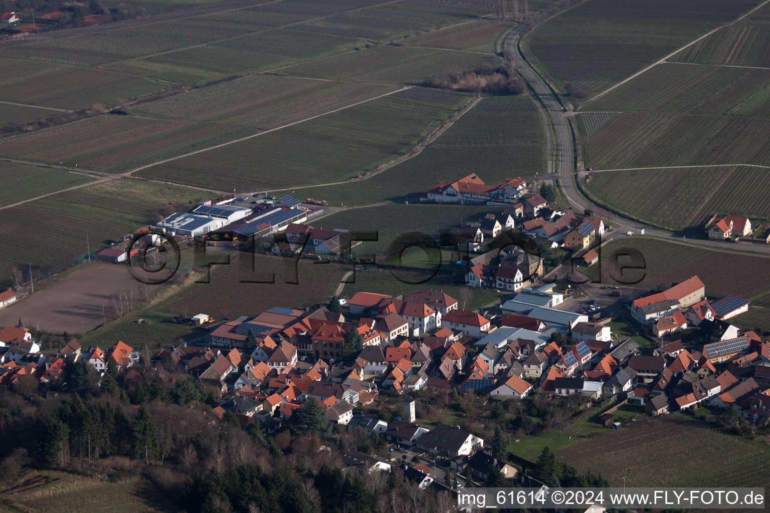 Gleisweiler in the state Rhineland-Palatinate, Germany from a drone