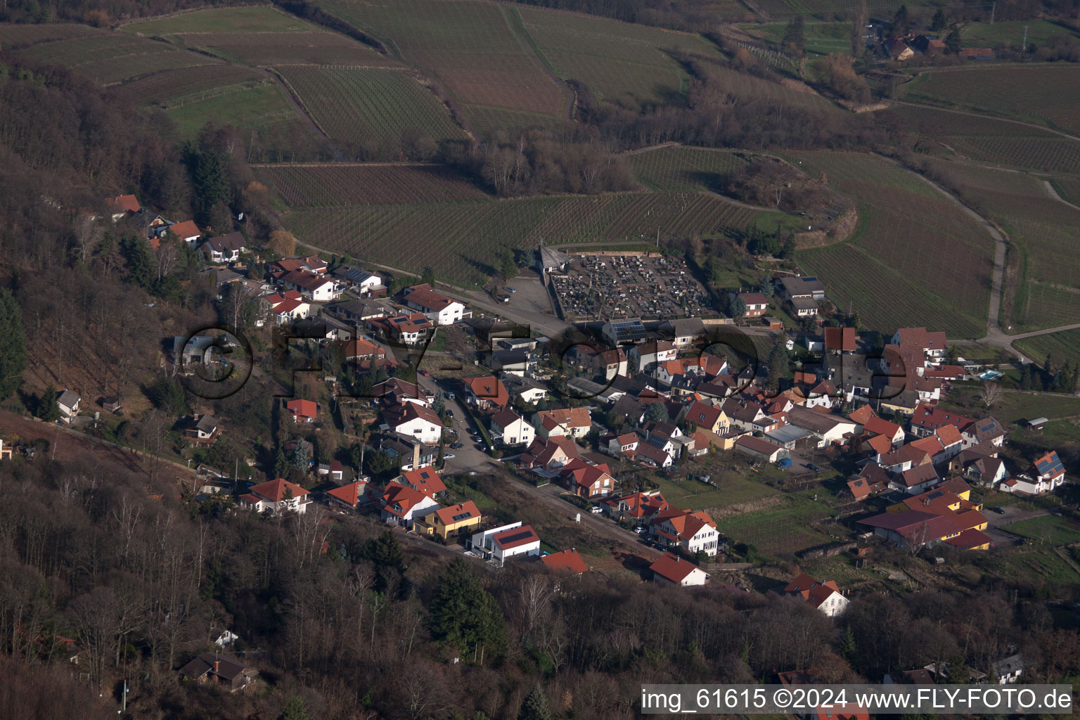 Gleisweiler in the state Rhineland-Palatinate, Germany from a drone